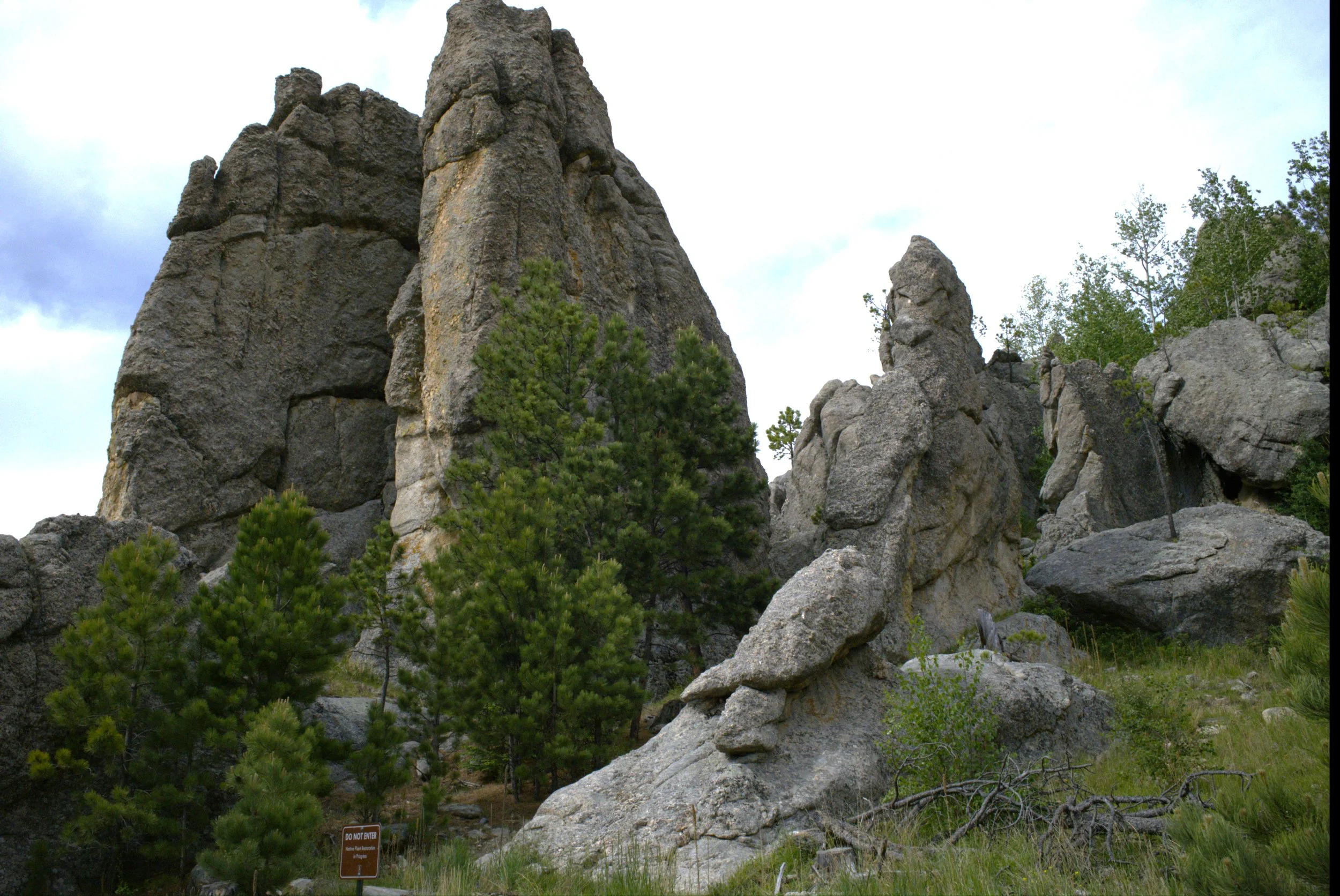 DSCF0129.JPG