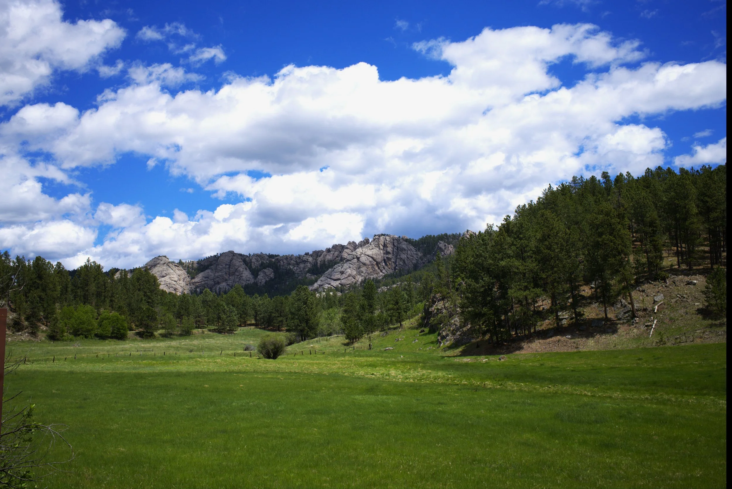 hillside11.jpg