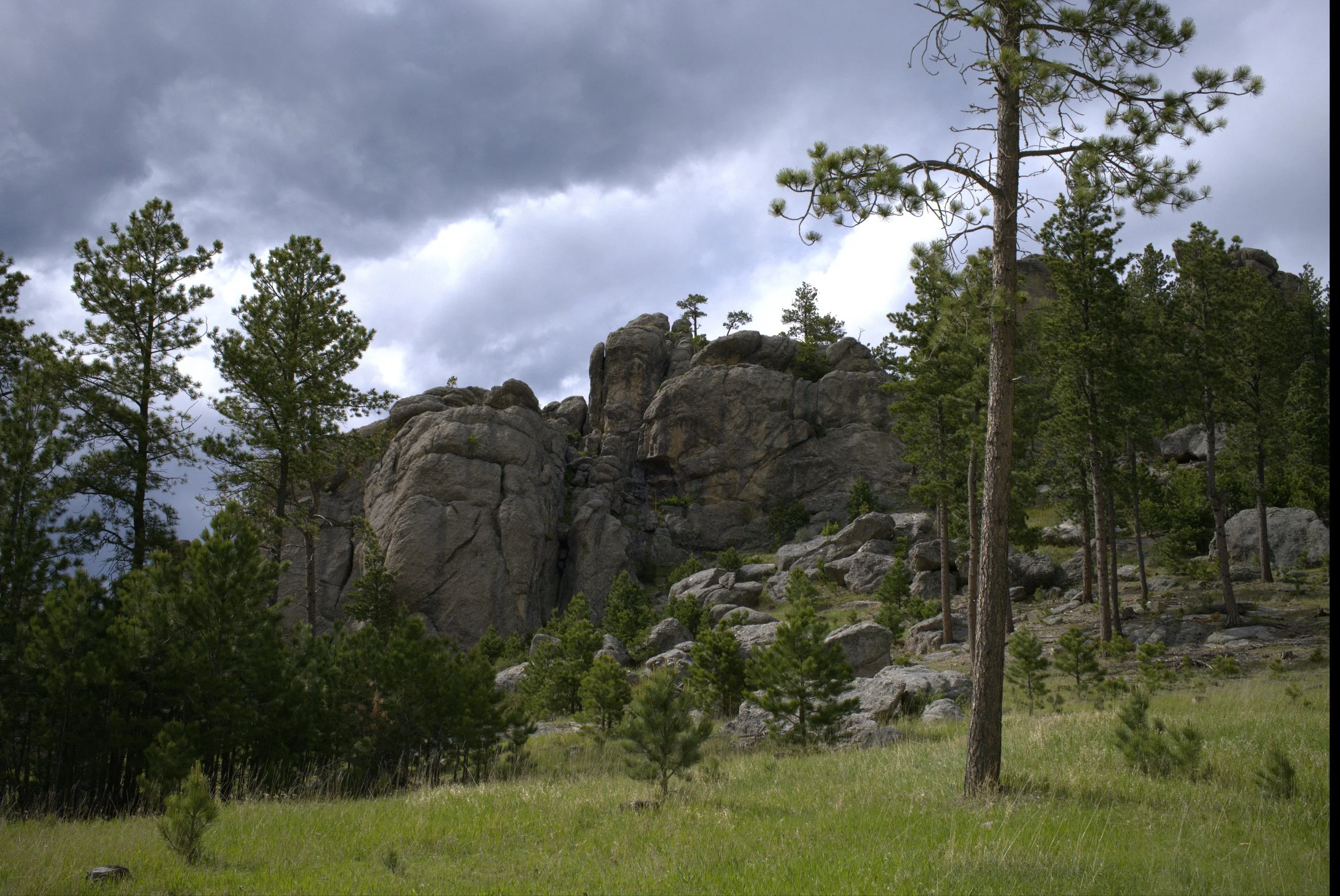 hillside13.jpg