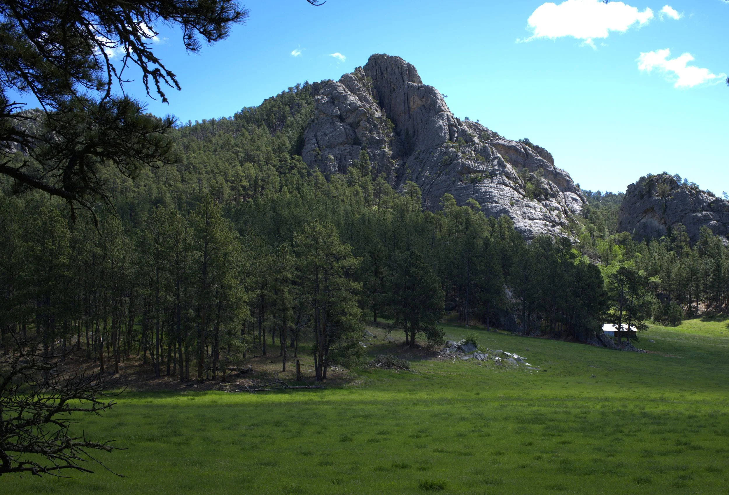 hillside9.jpg