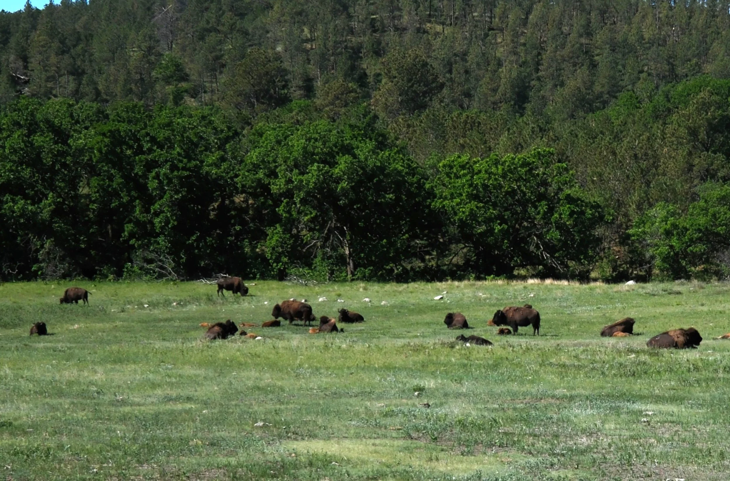 DSCF0155.JPG