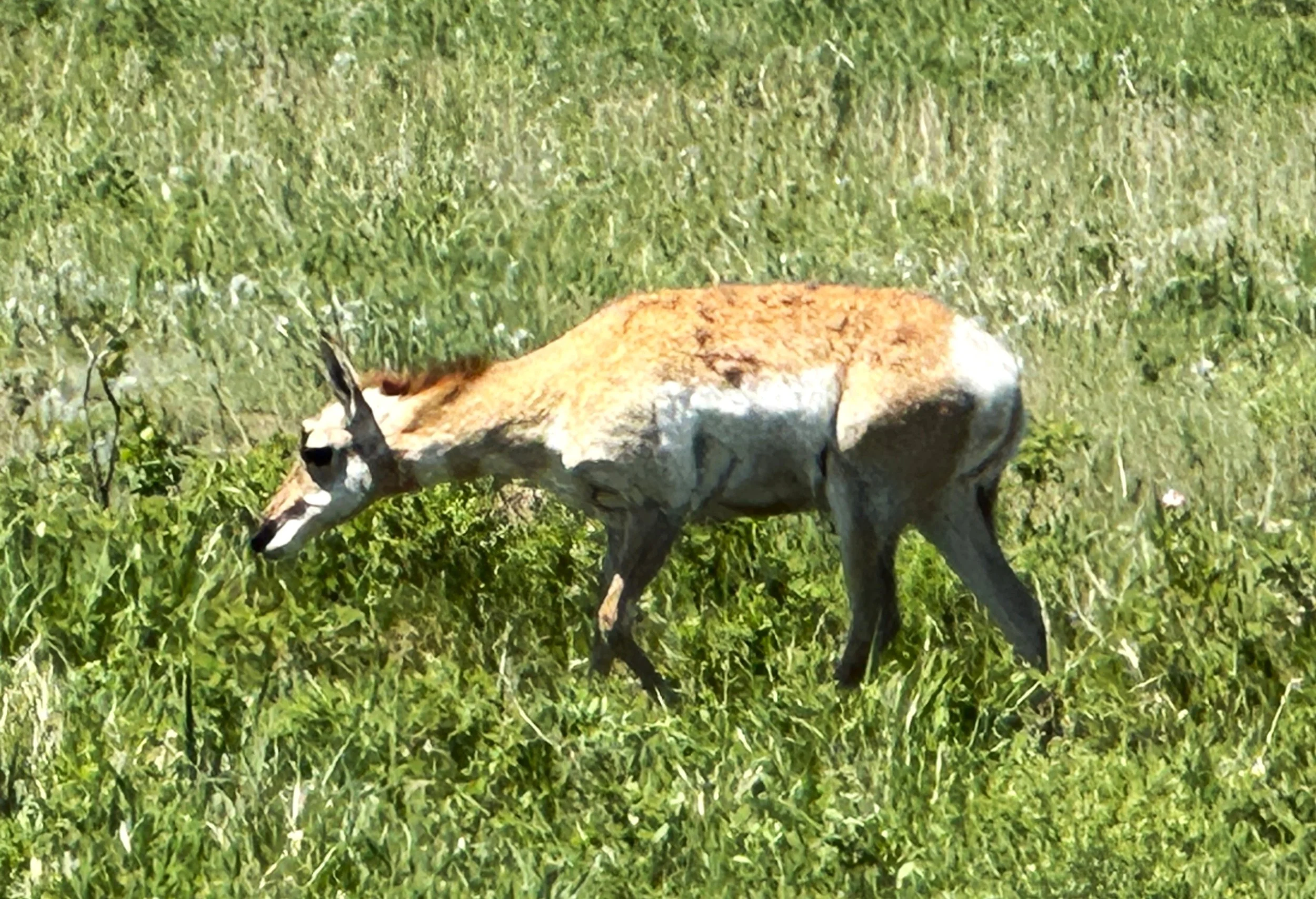 IMG_3635.JPG