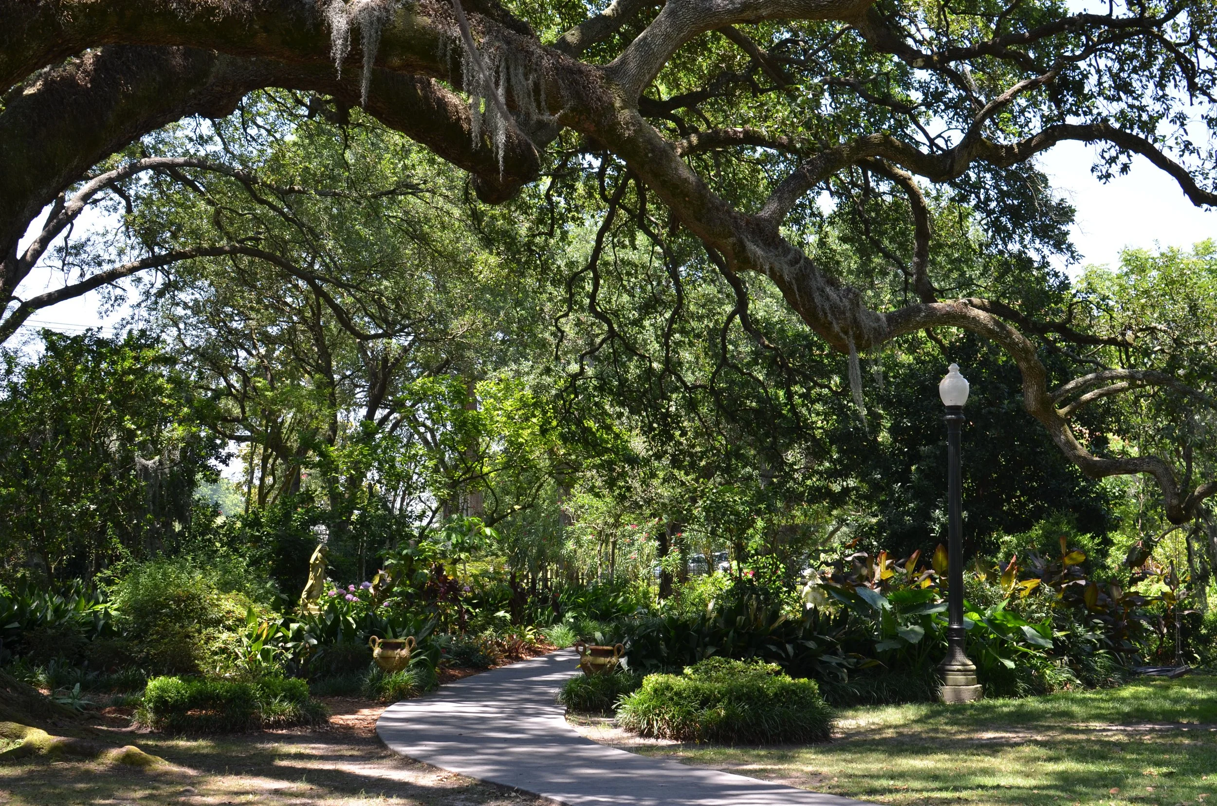 DSC_0086.JPG