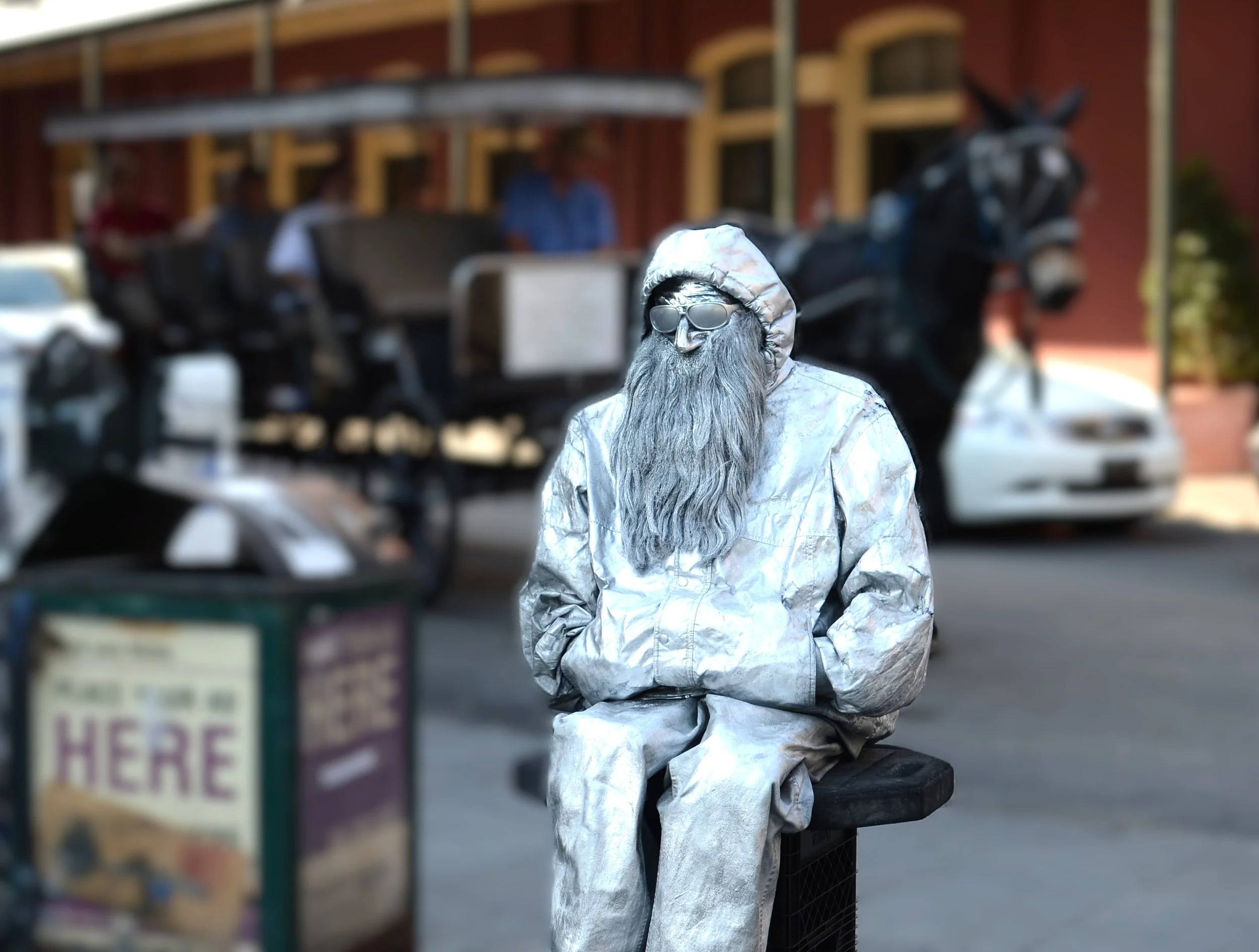 DSC_0112.JPG