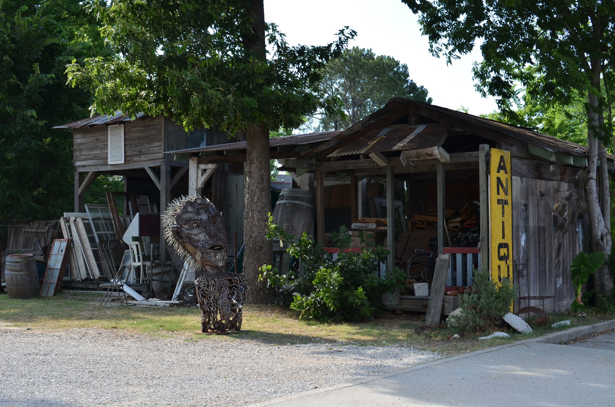 DSC_0038.JPG