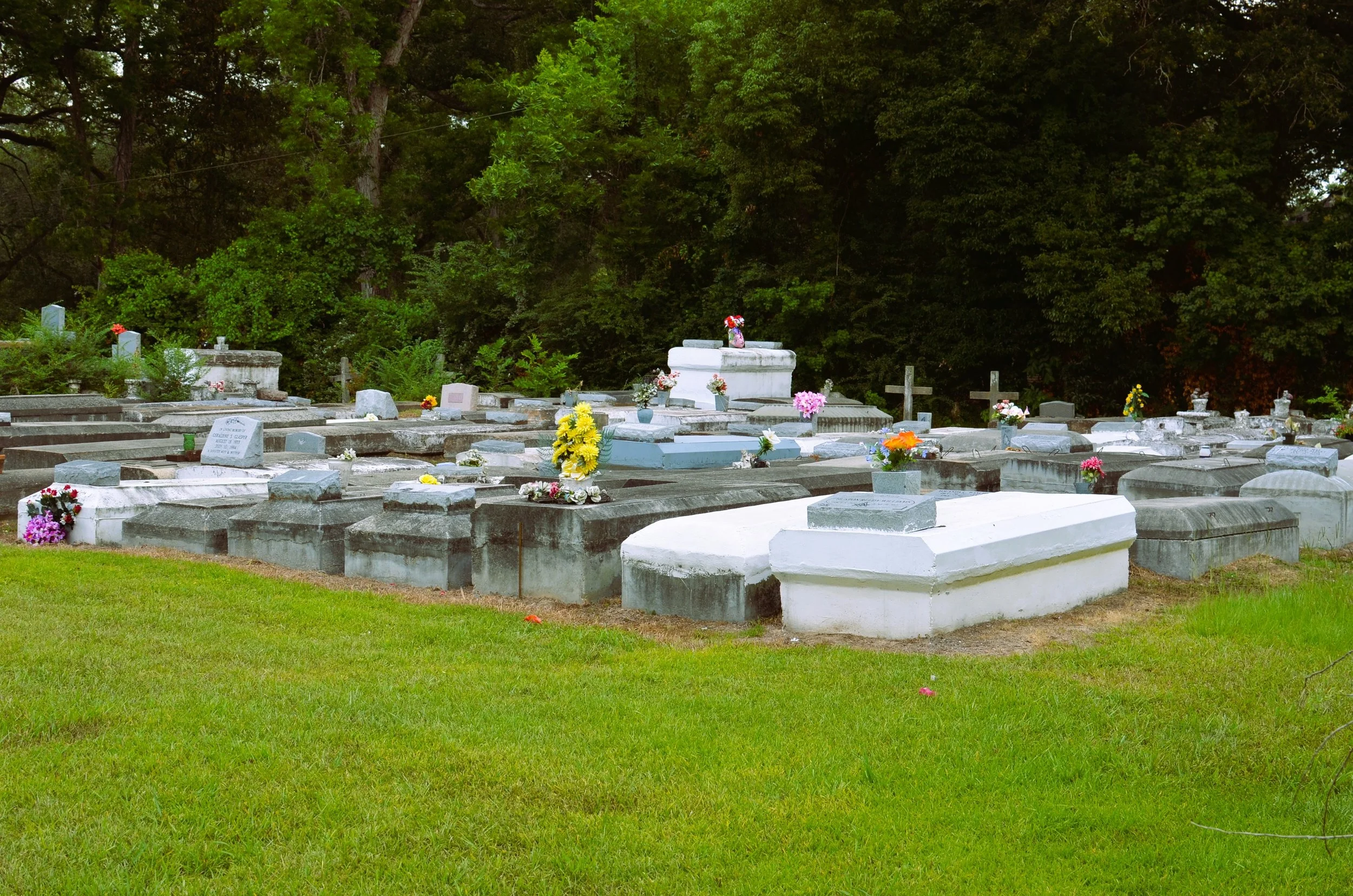 DSC_0014.JPG
