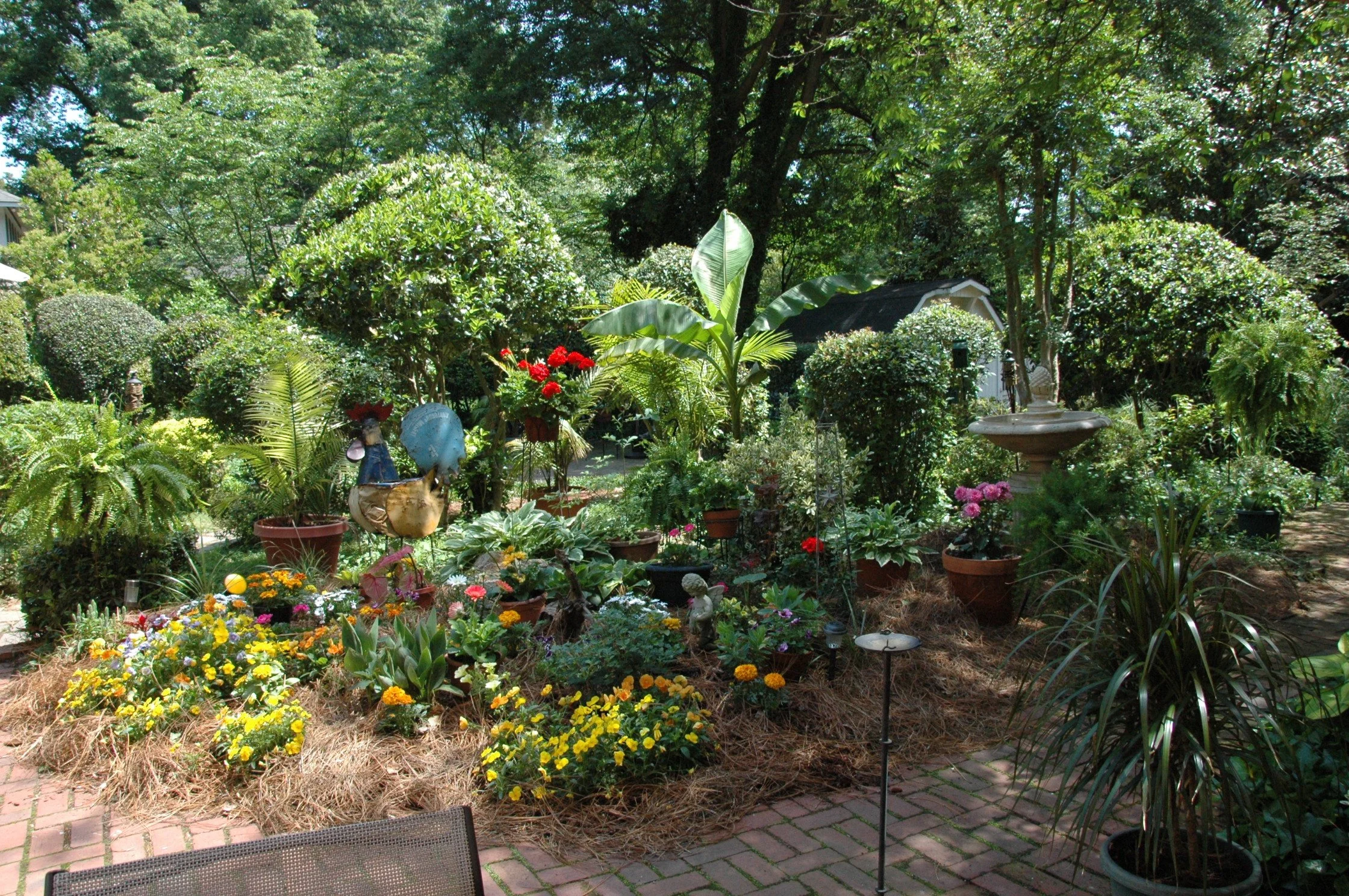 DSC_7529.JPG
