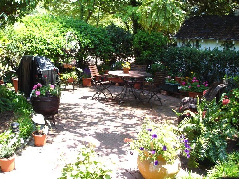 garden 5.jpg