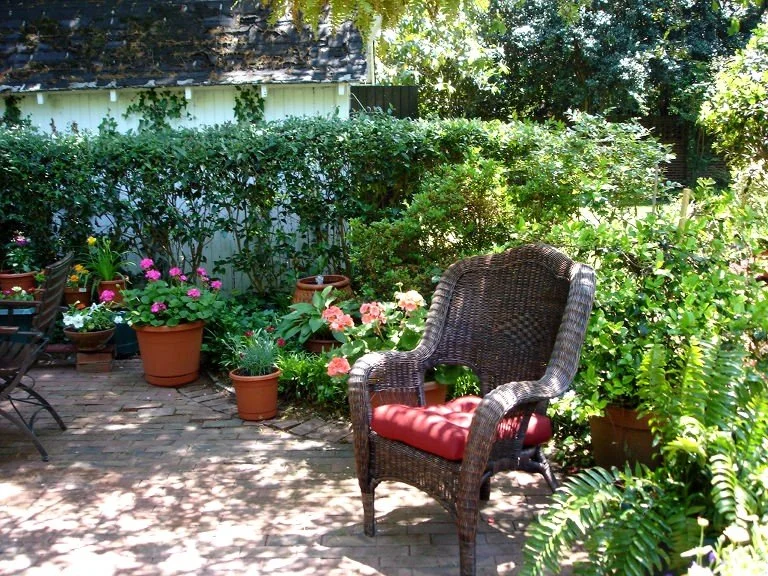 garden 7.jpg