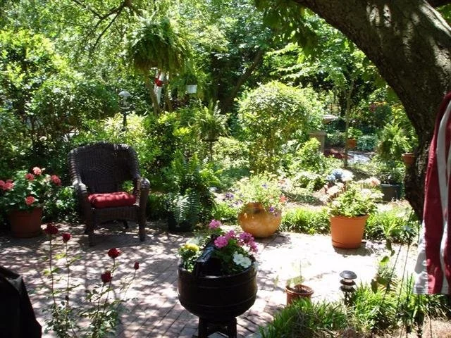 garden 8 (Small).jpg