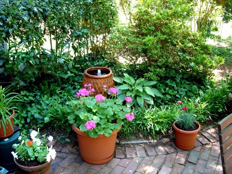 garden 10.jpg