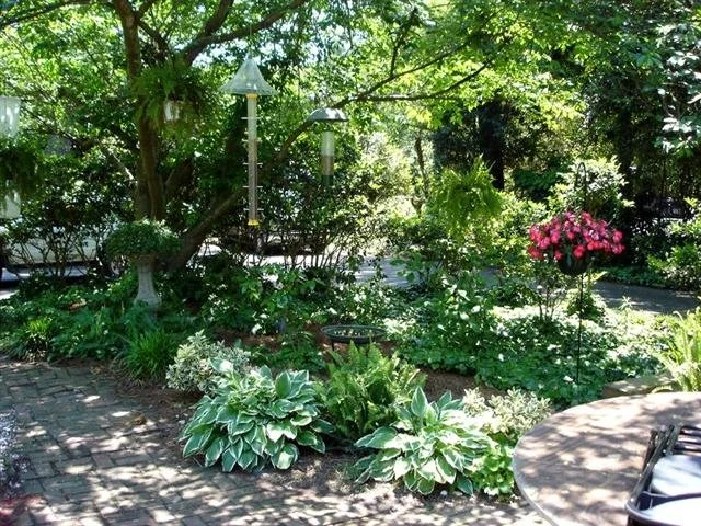 Garden 11 (Small).jpg