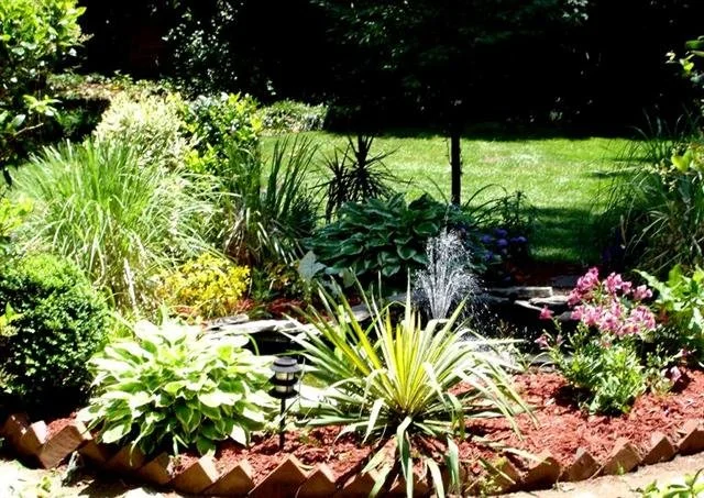 garden 14 (Small).jpg