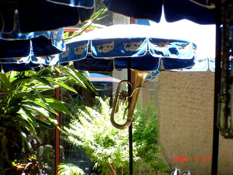 Horn Umbrella.jpg