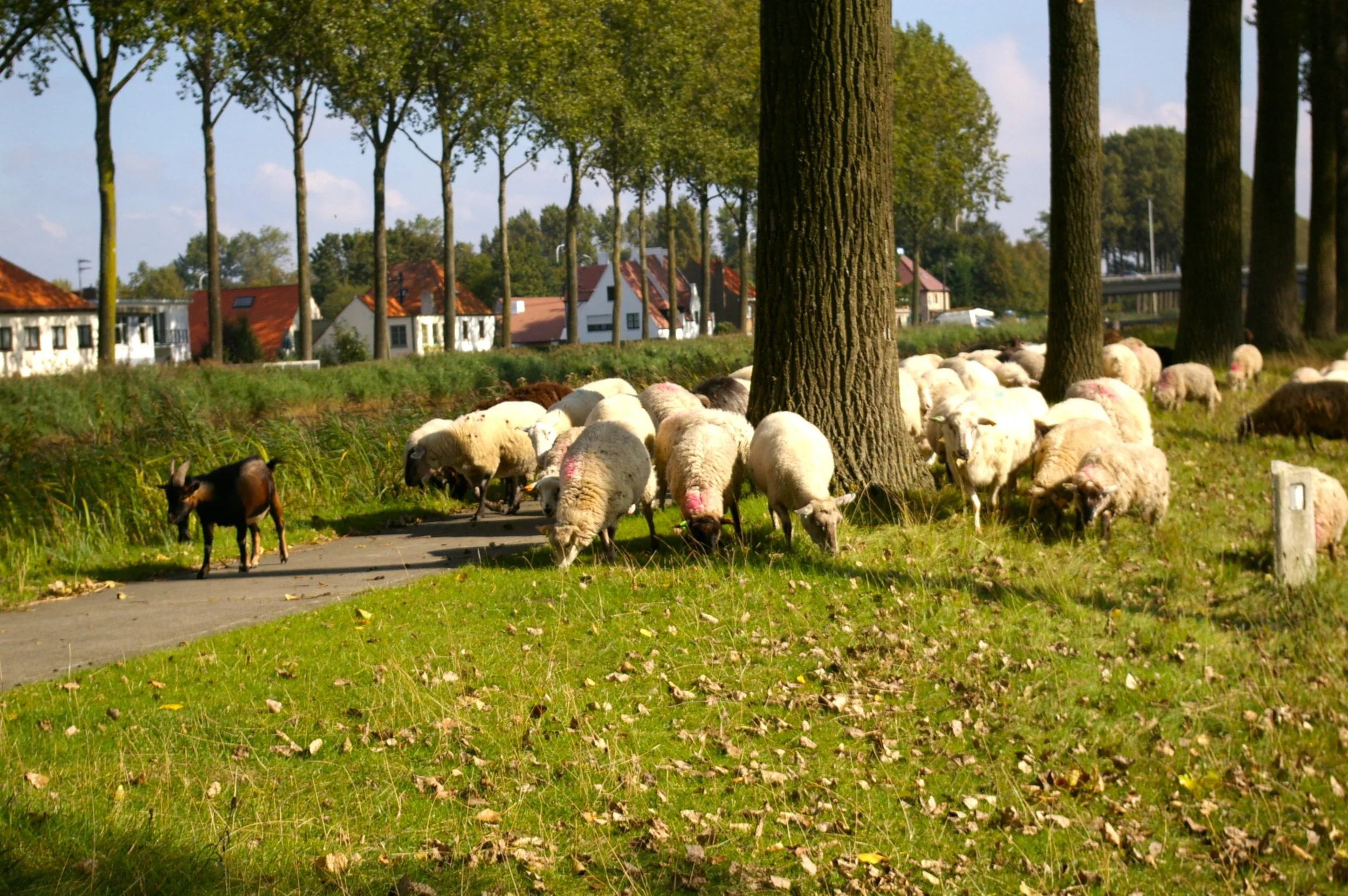 424.JPG