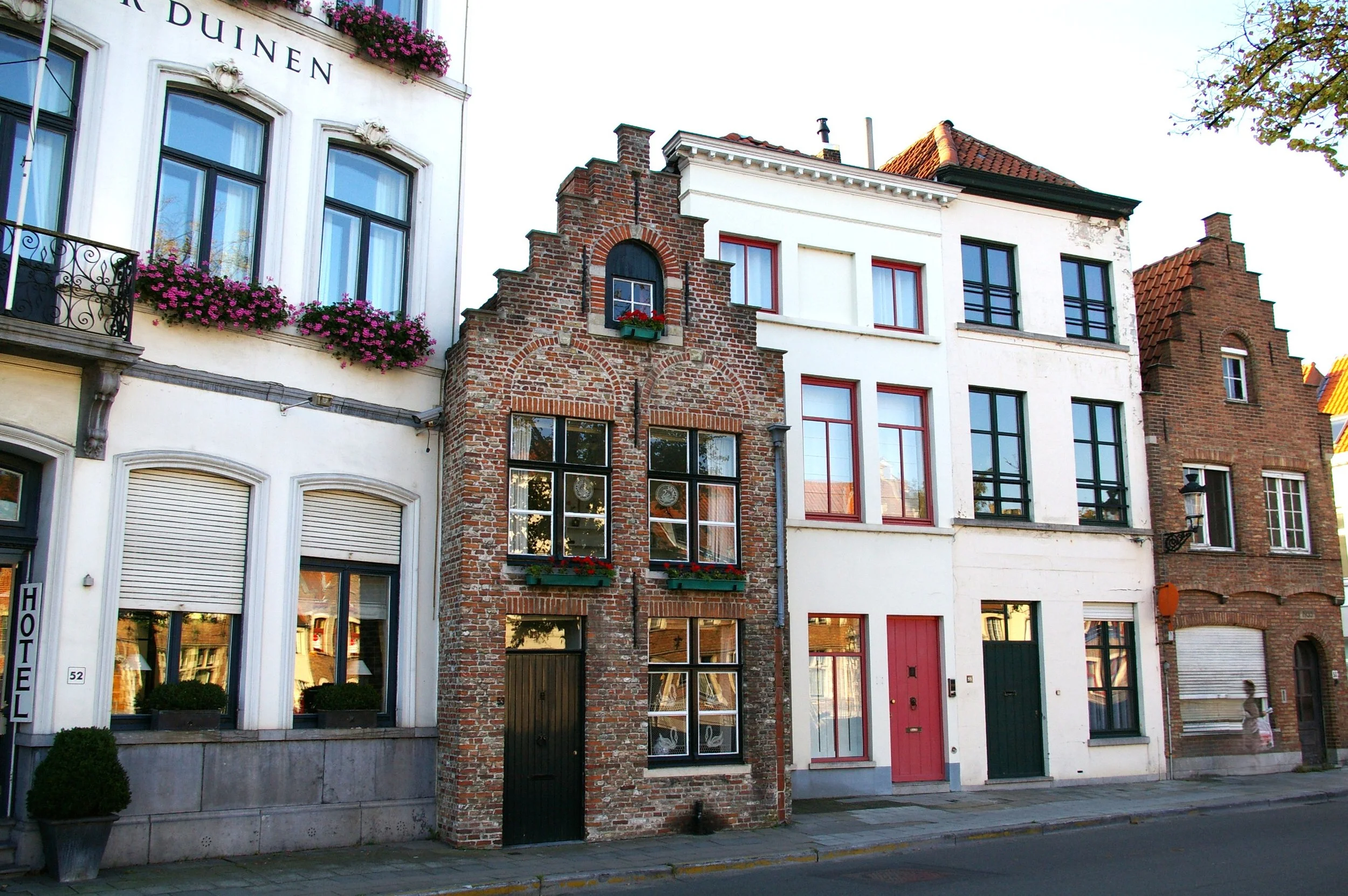 377.JPG