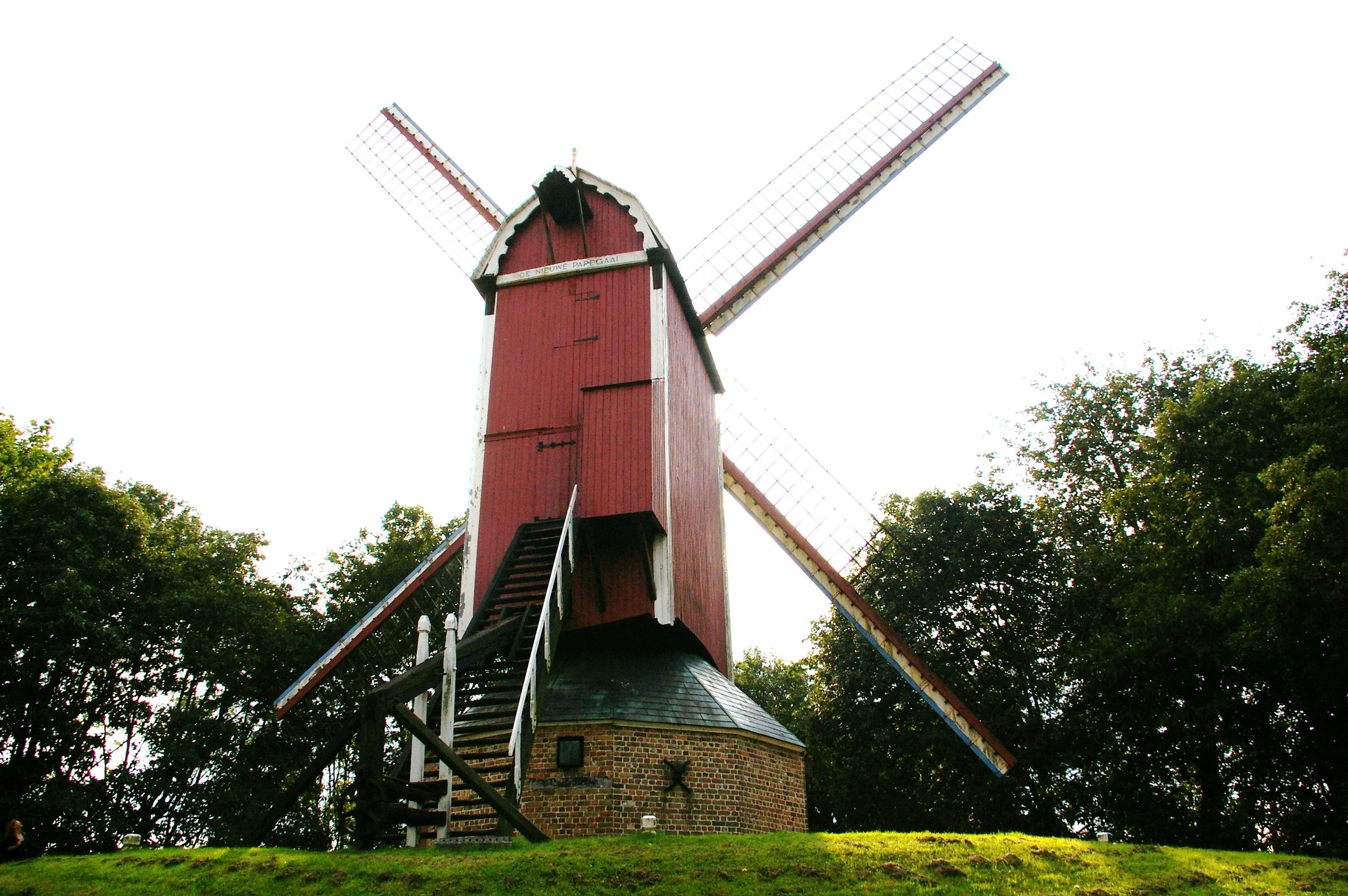 478.JPG
