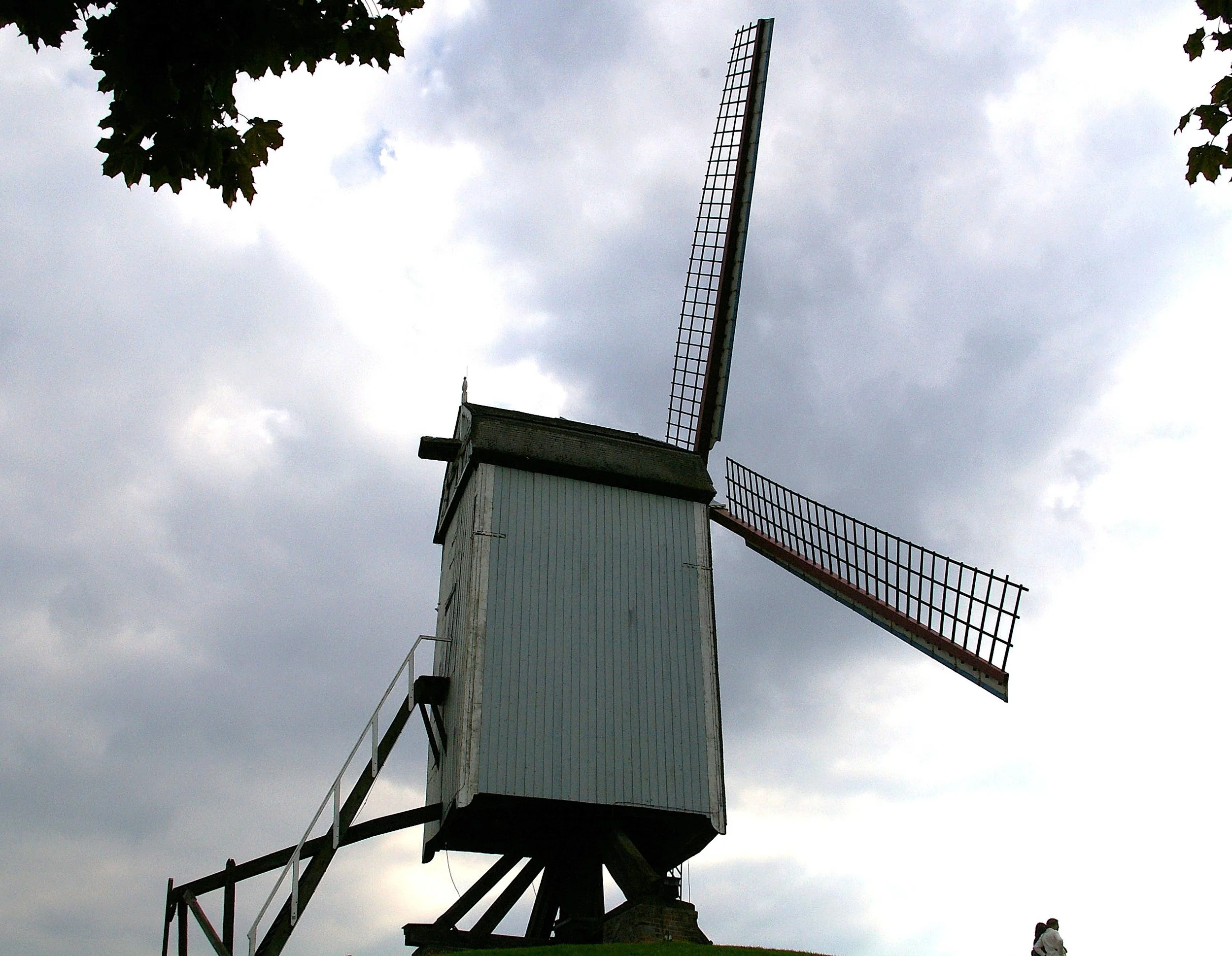 484.JPG