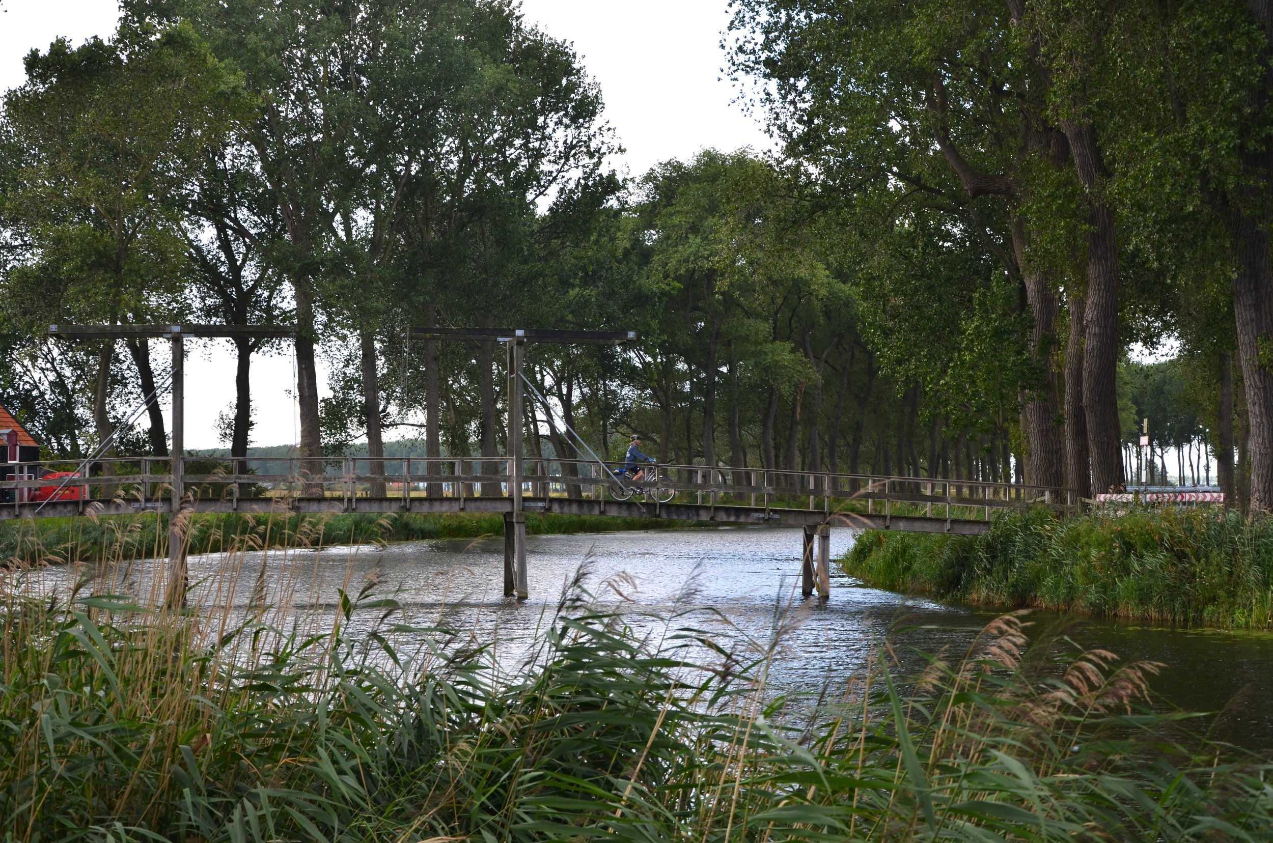DSC_1790.JPG