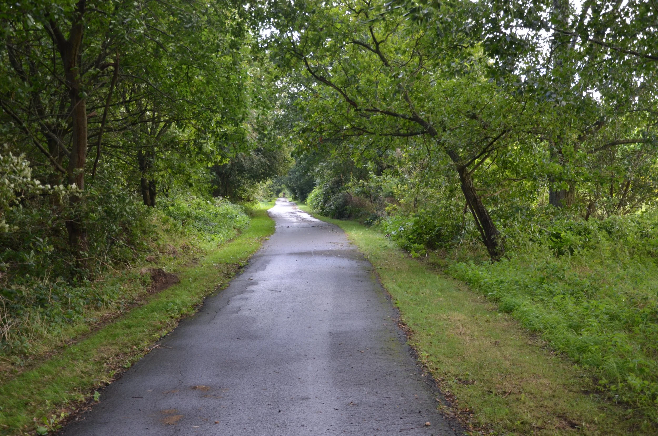 DSC_1814.JPG