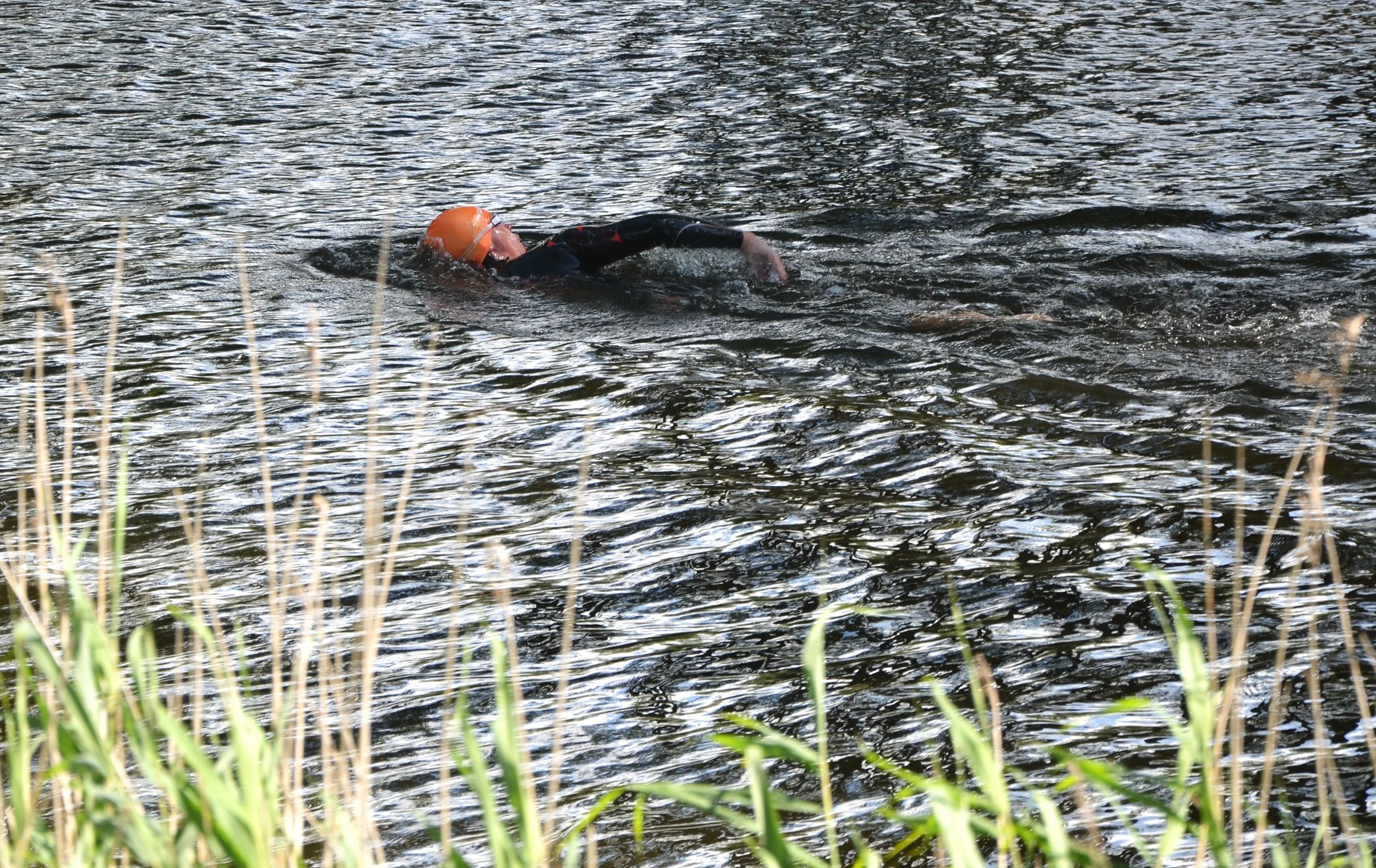 DSC_1891.JPG