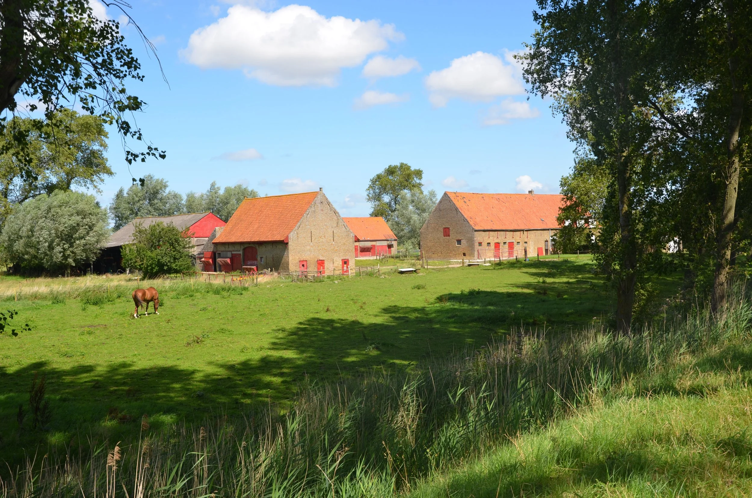 DSC_1893.JPG