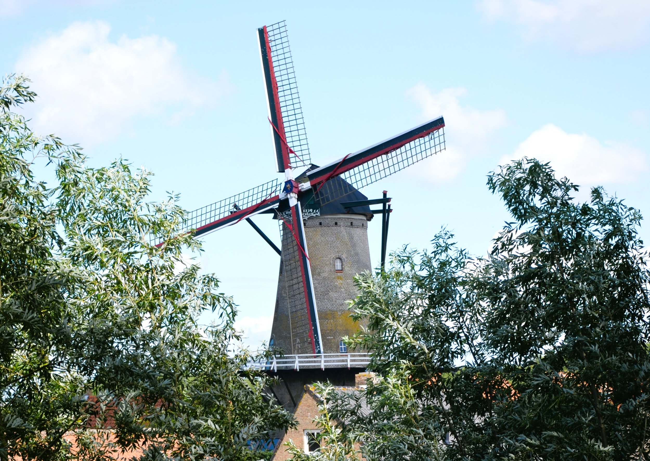 DSC_1905.JPG