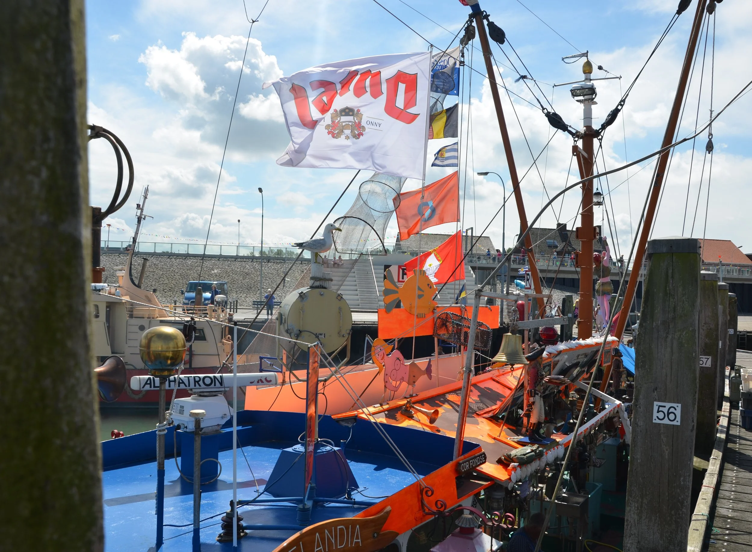 DSC_2008.JPG