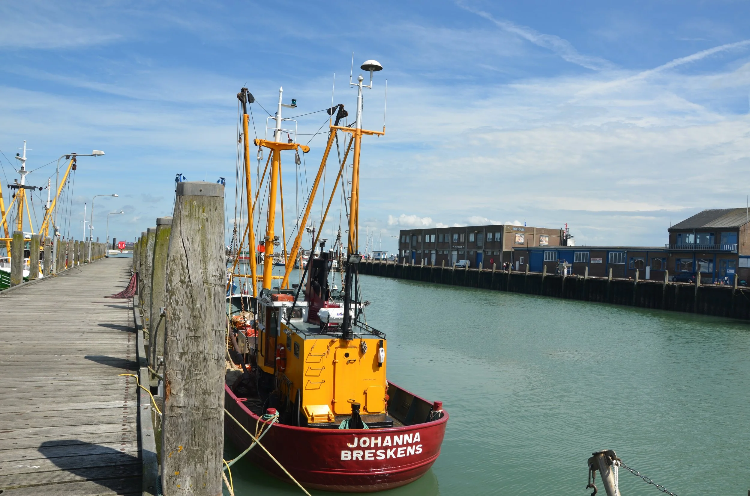 DSC_2009.JPG