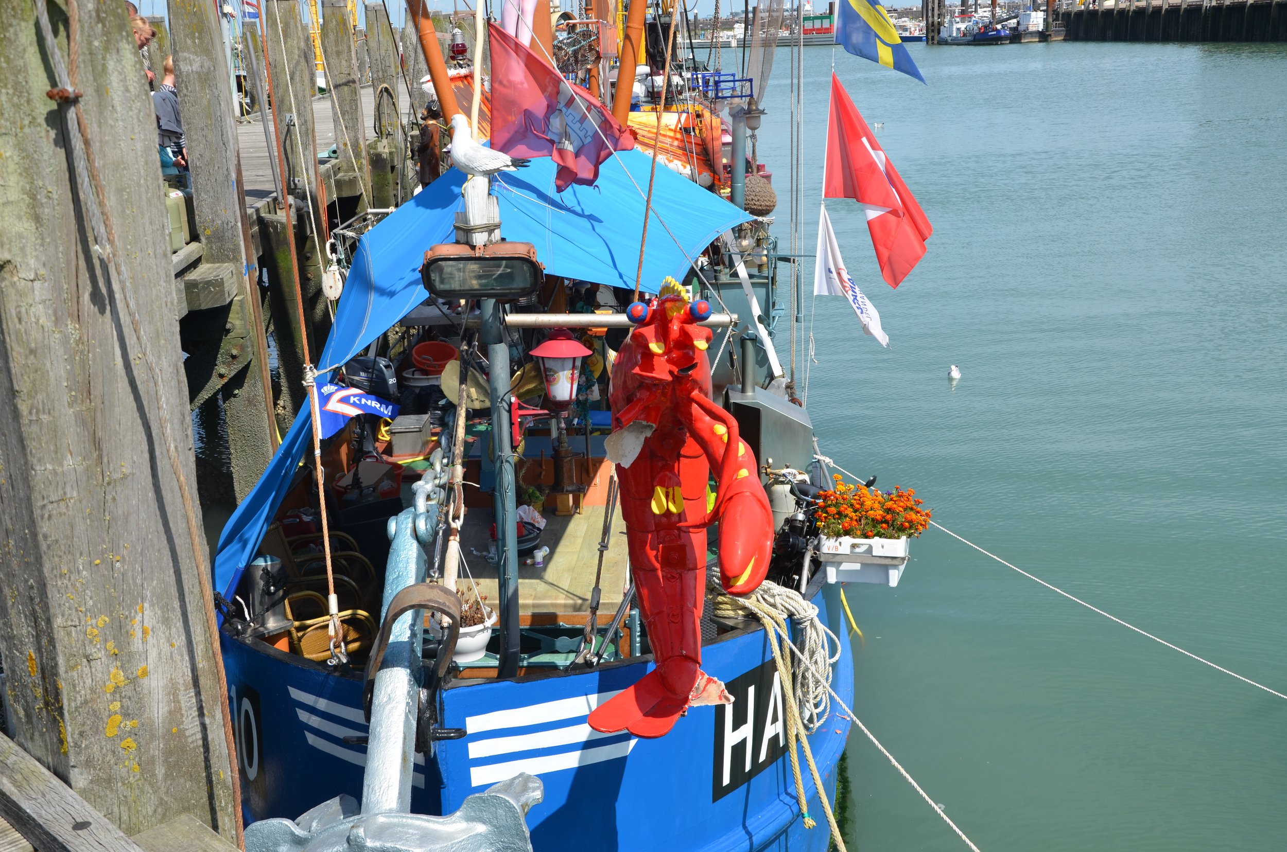 DSC_2021.JPG