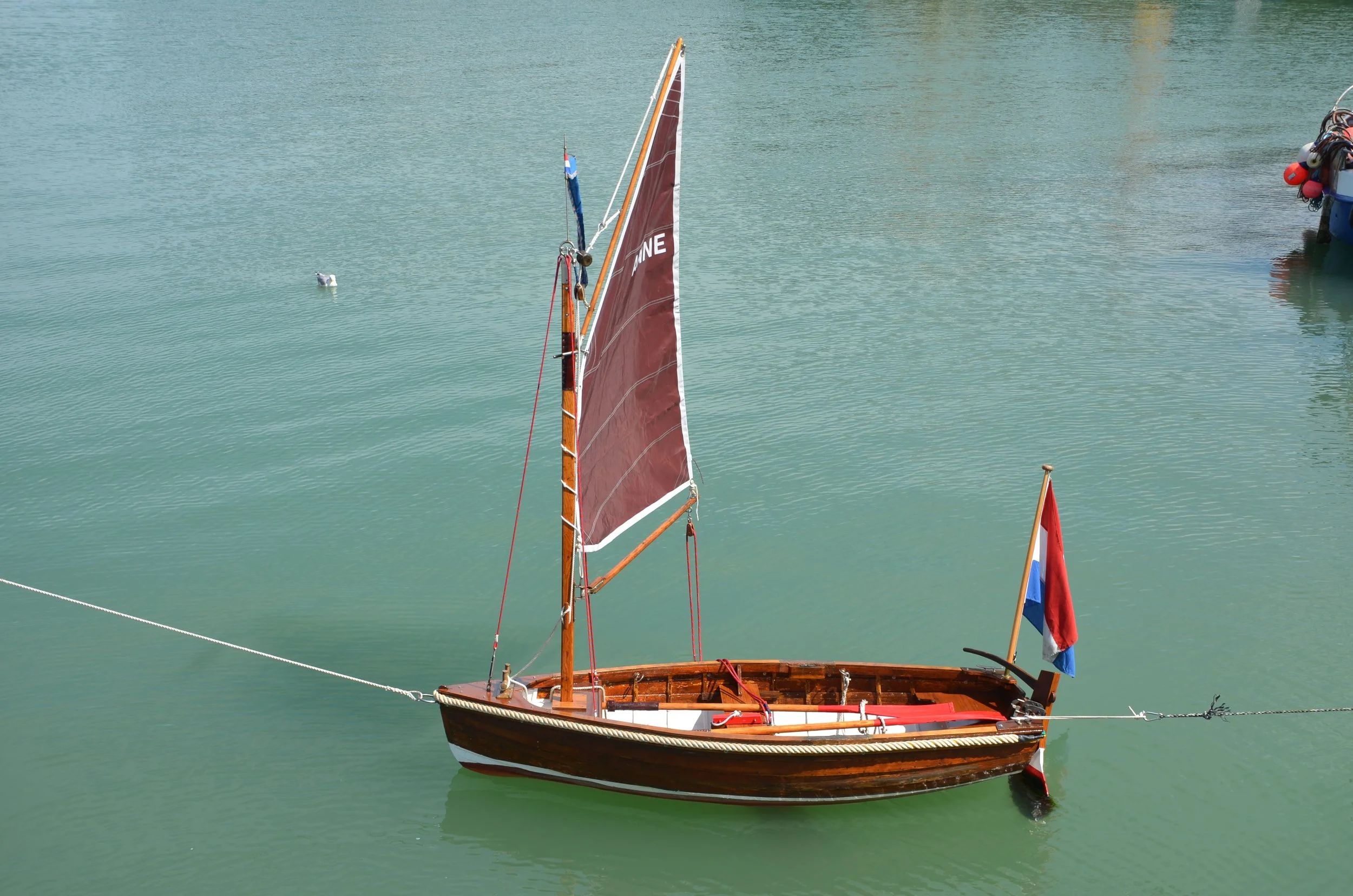DSC_2020.JPG