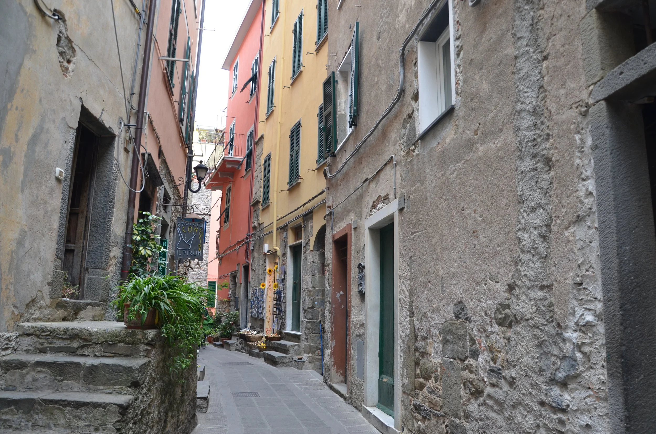 DSC_3919.JPG