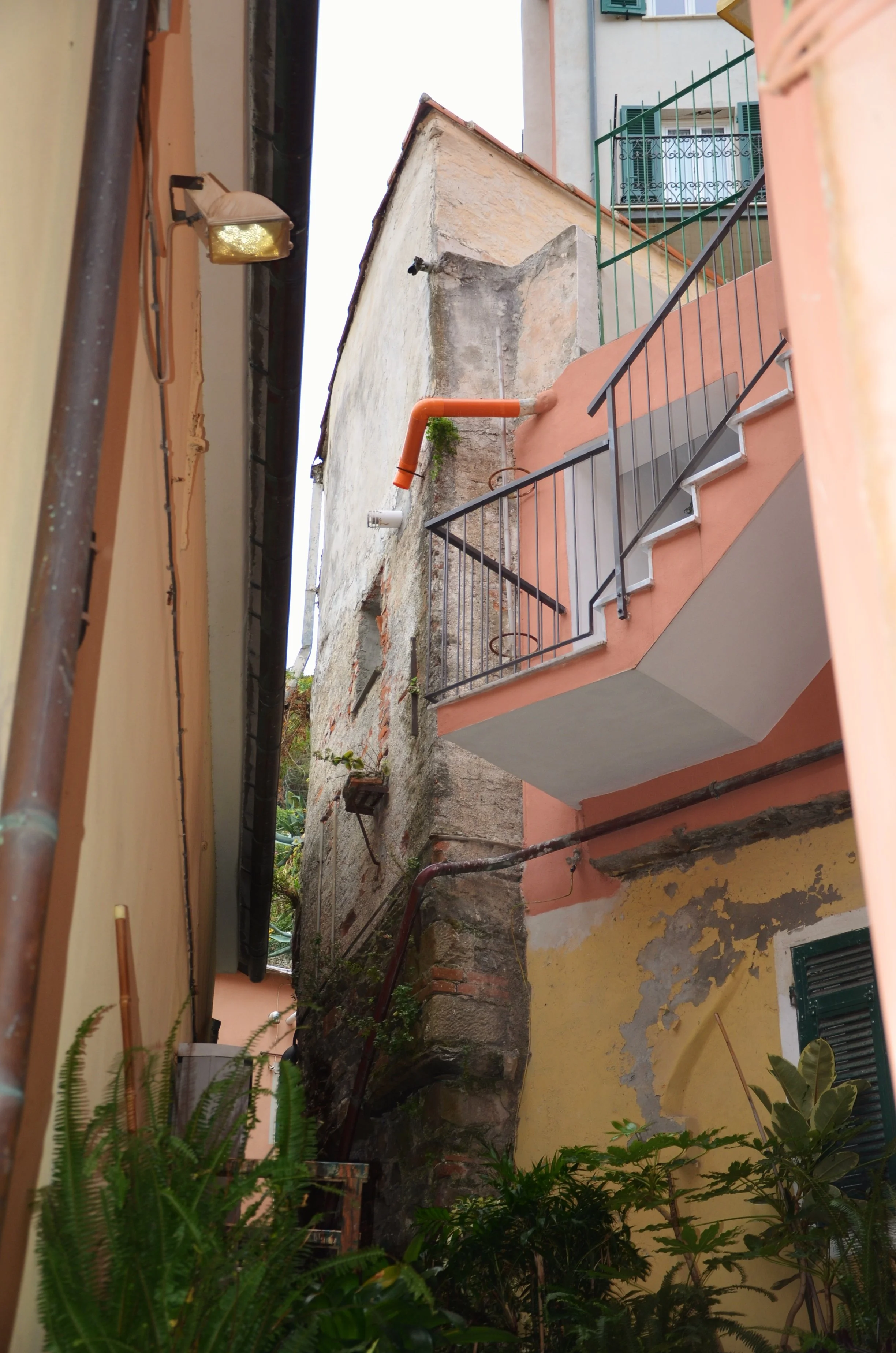 DSC_3978.JPG