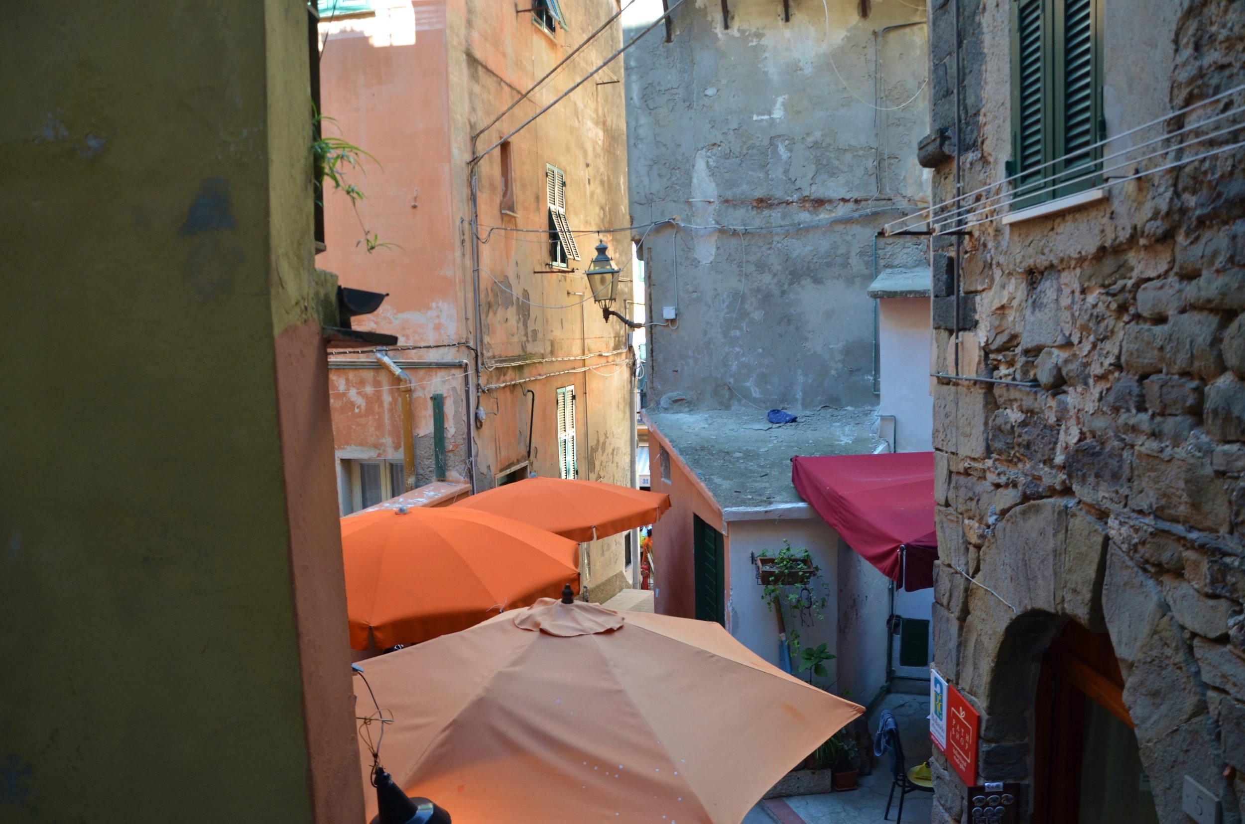 DSC_3759.JPG