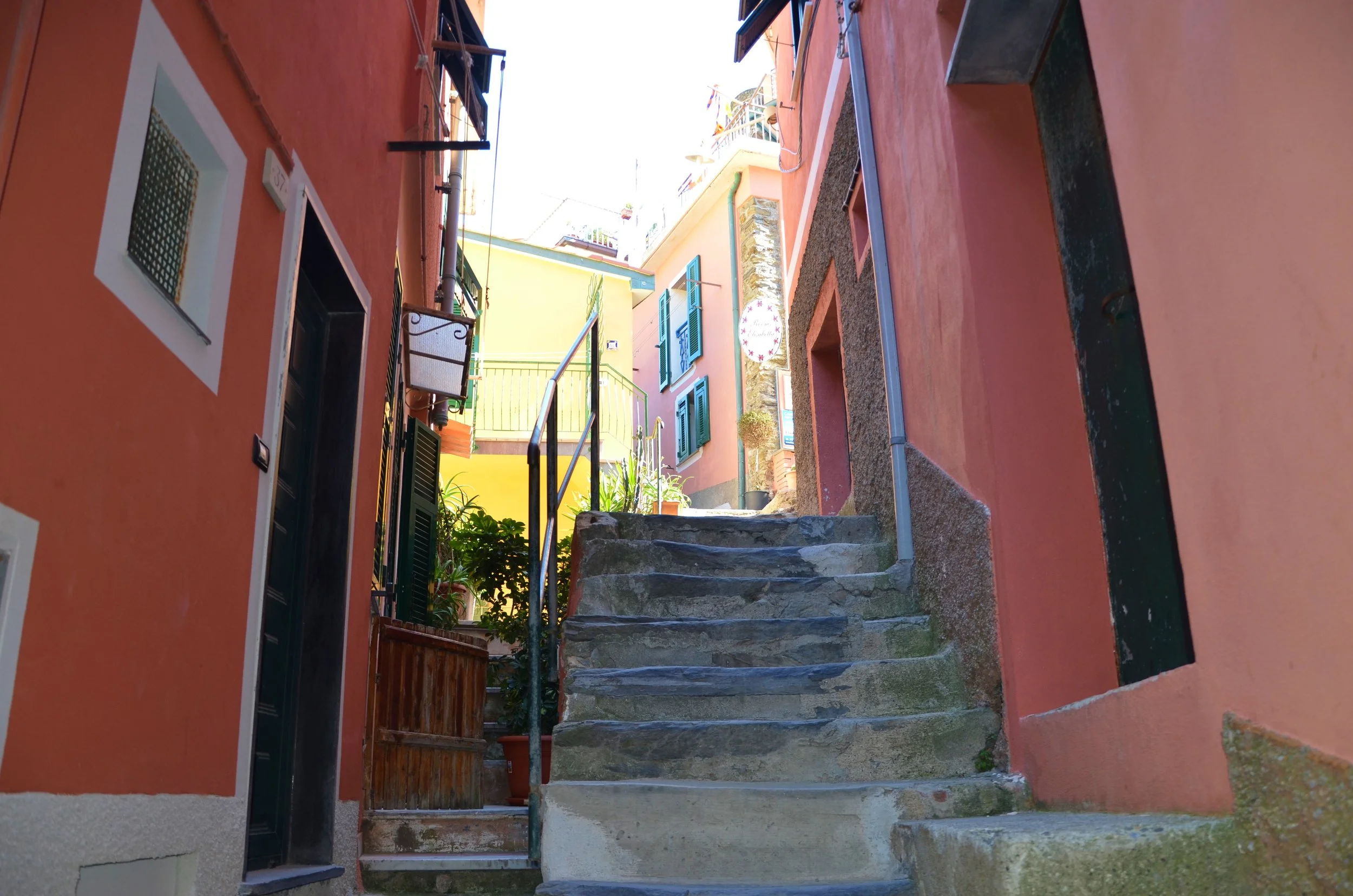 DSC_3762.JPG