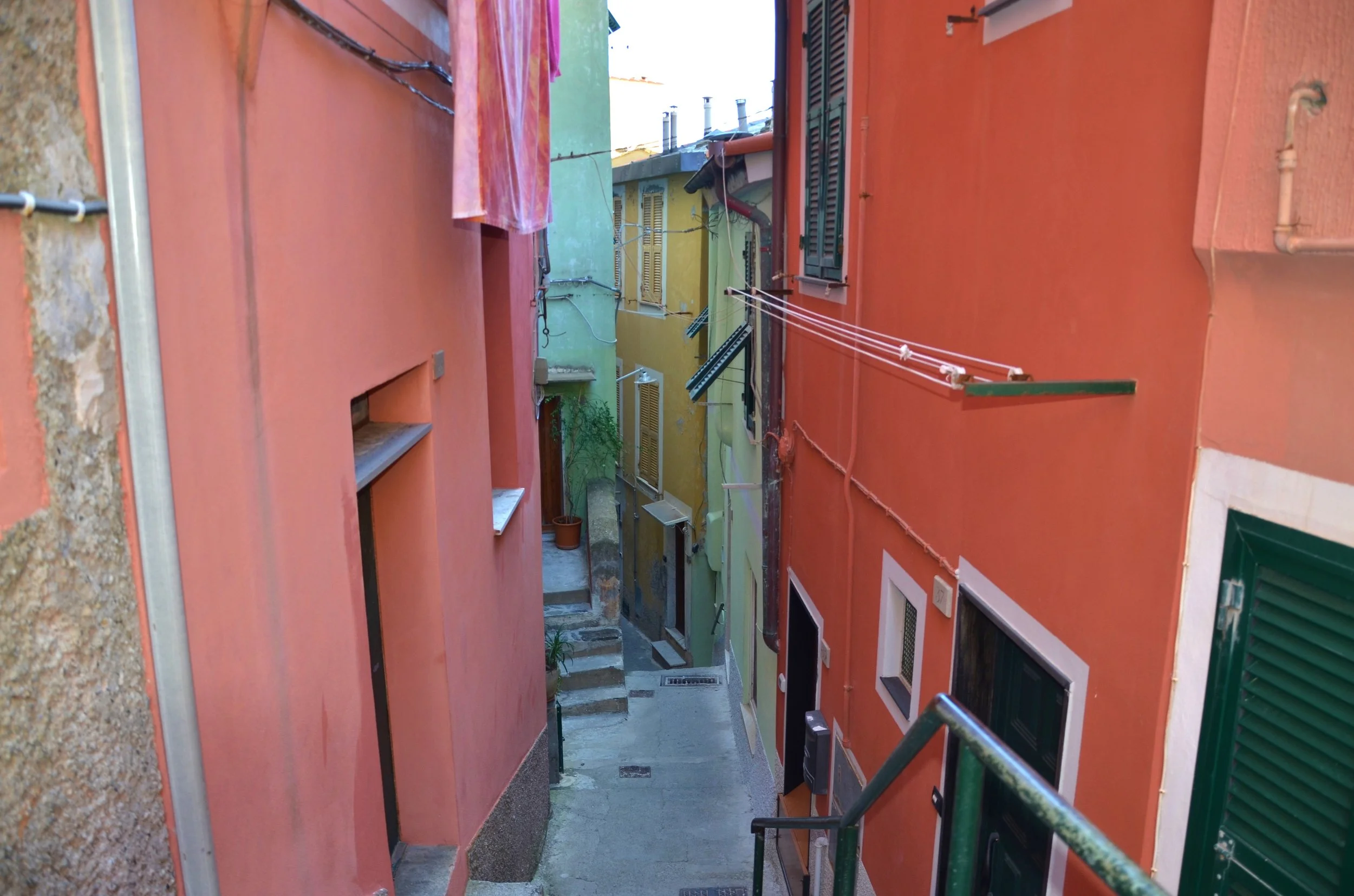 DSC_3782.JPG