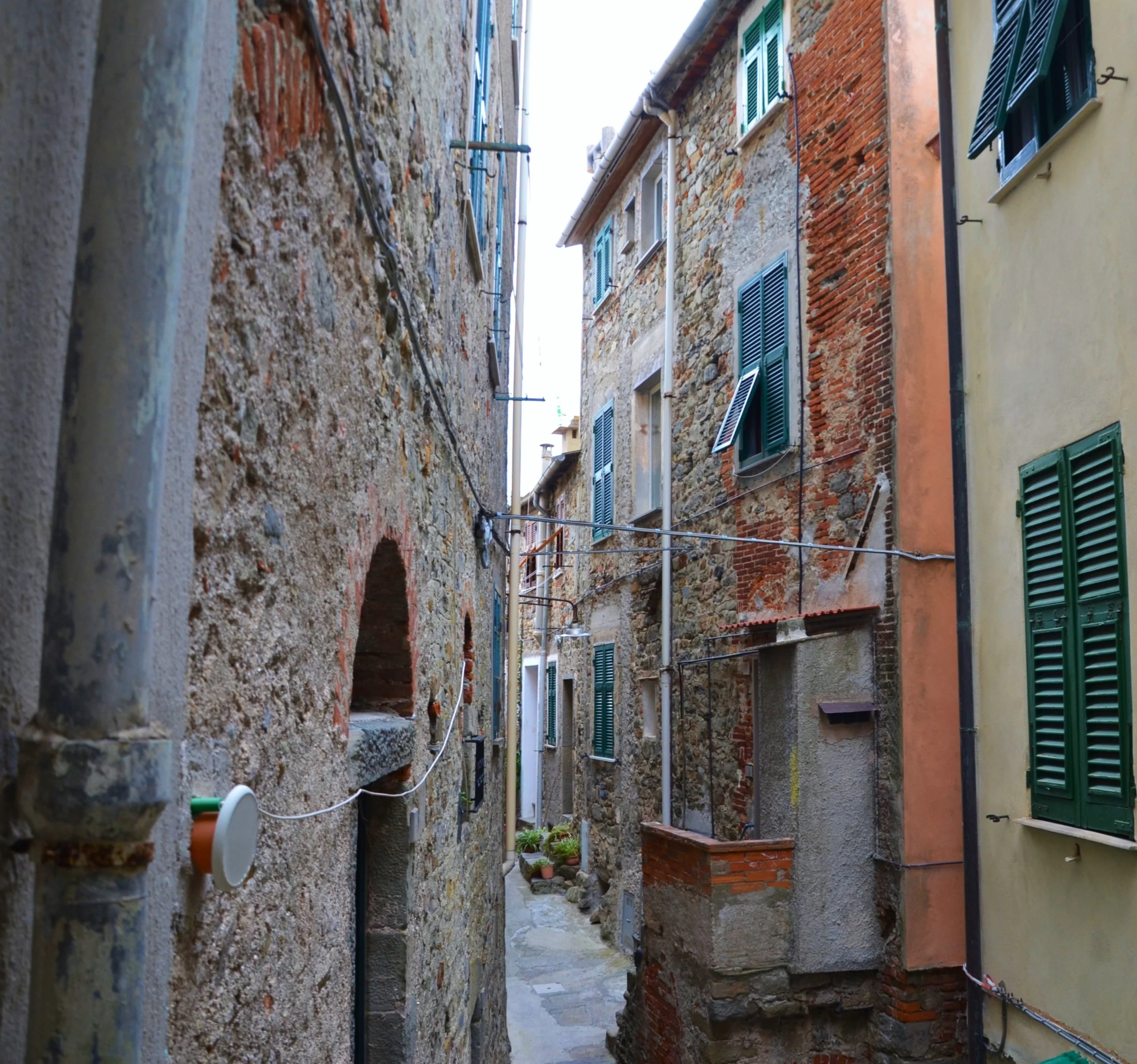 DSC_3941.JPG