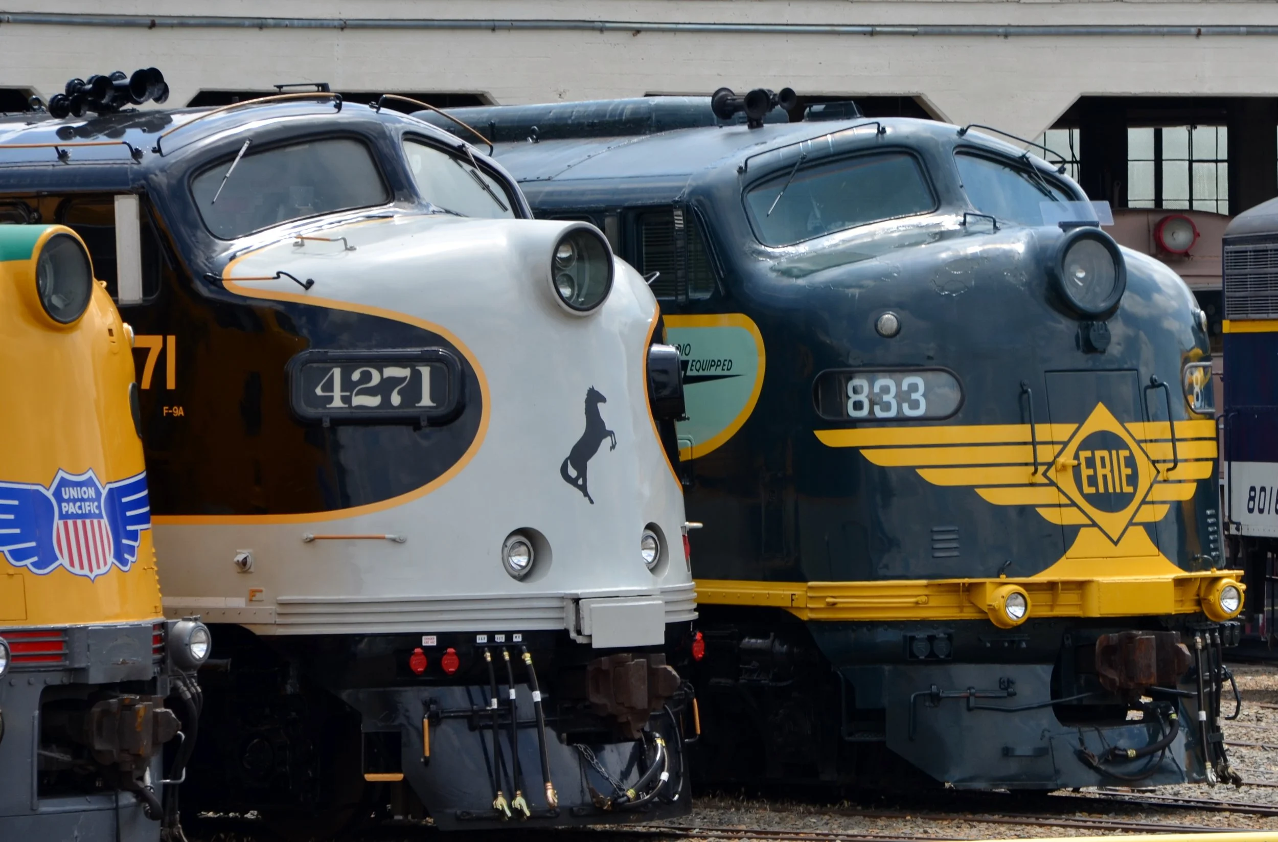 DSC_9633.JPG