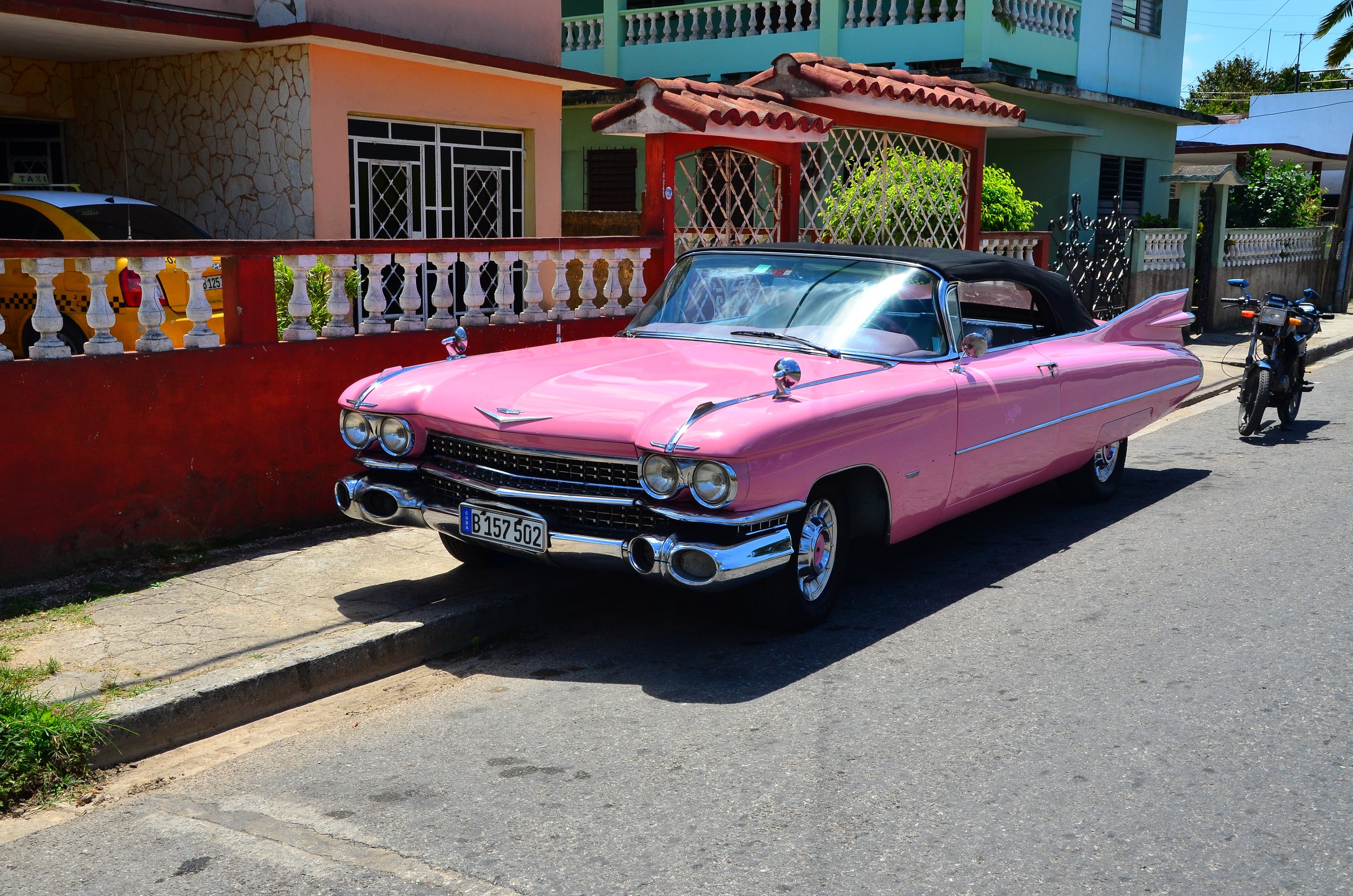   ELVIS LIVES IN HAVANA   
