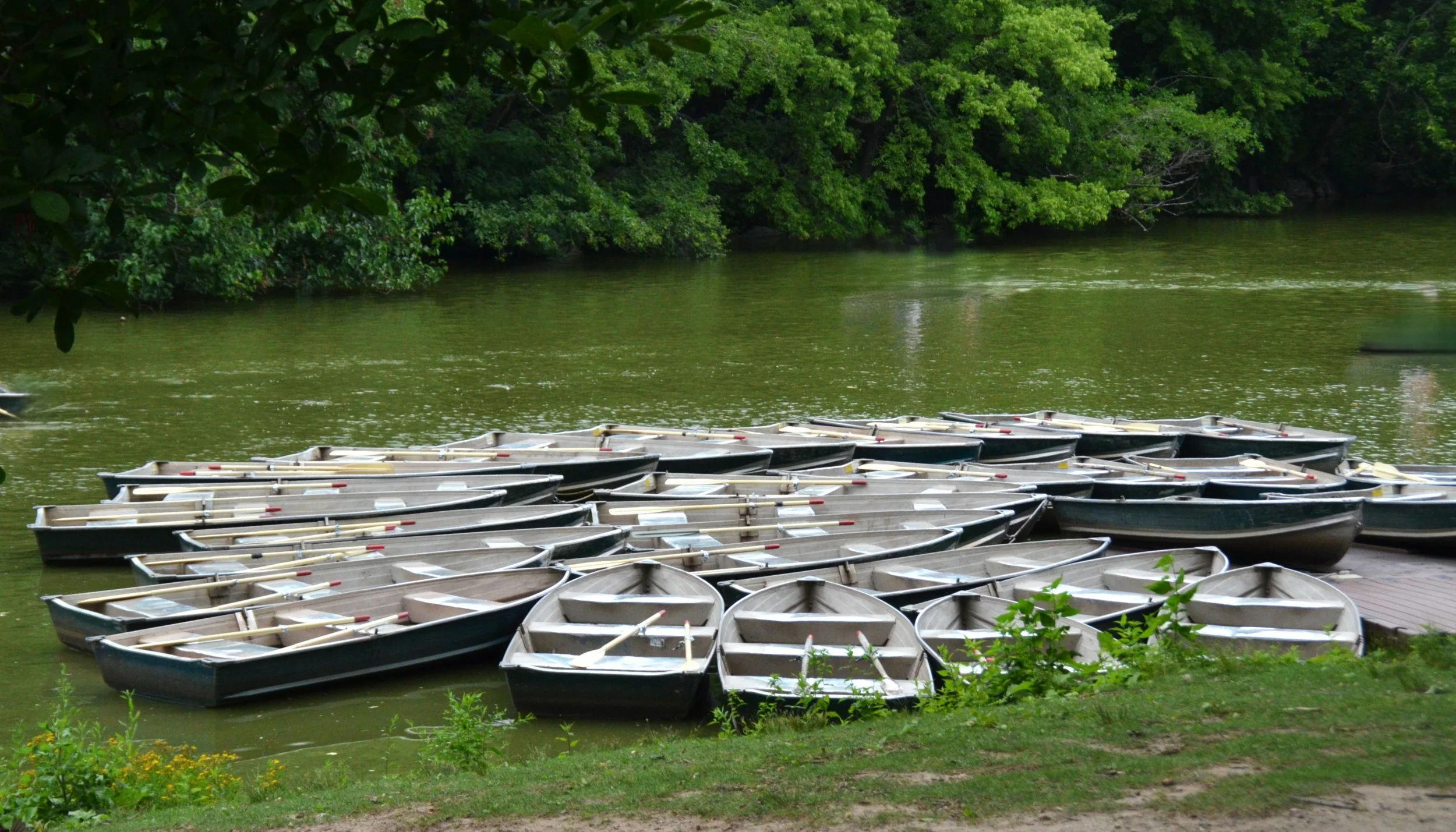 DSC_7765.JPG