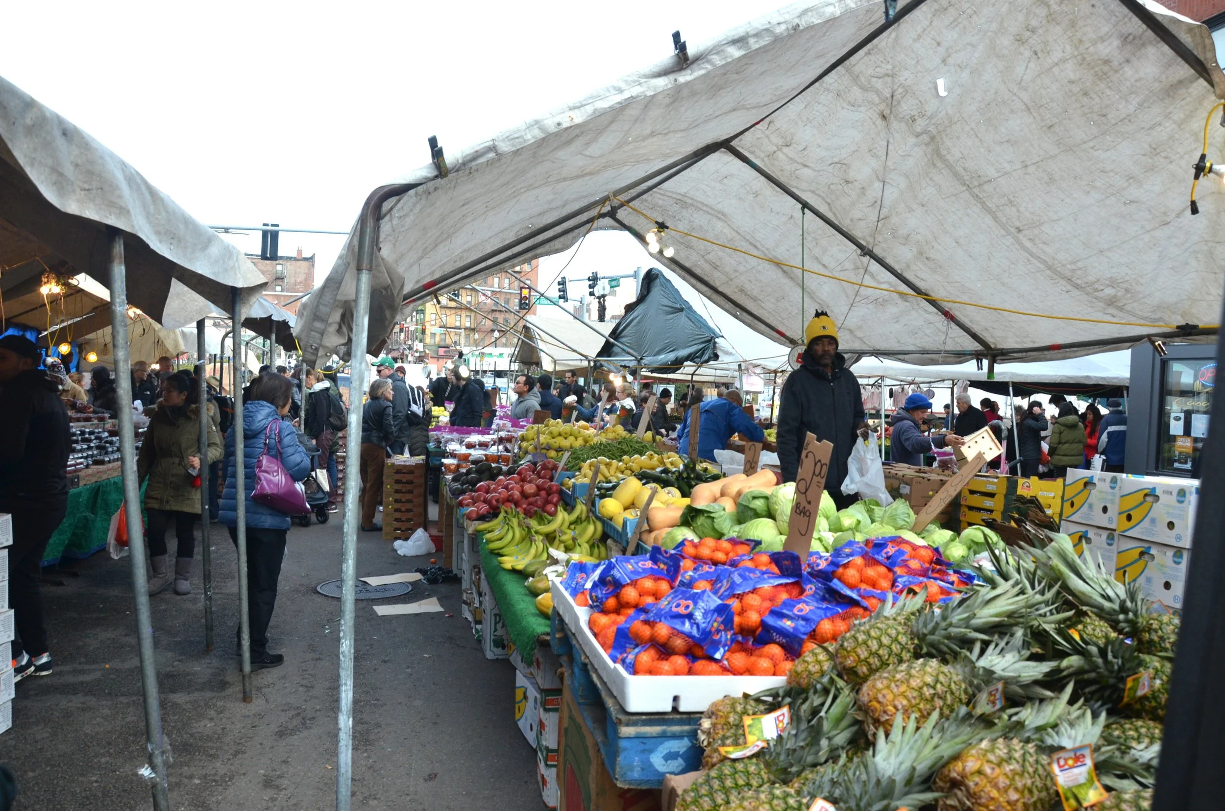 DSC_8717.JPG