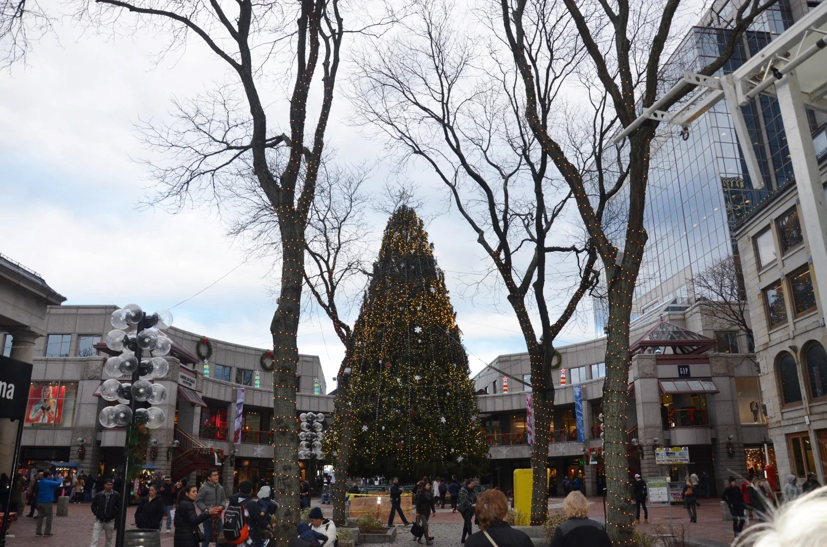 DSC_8747 (Large).JPG