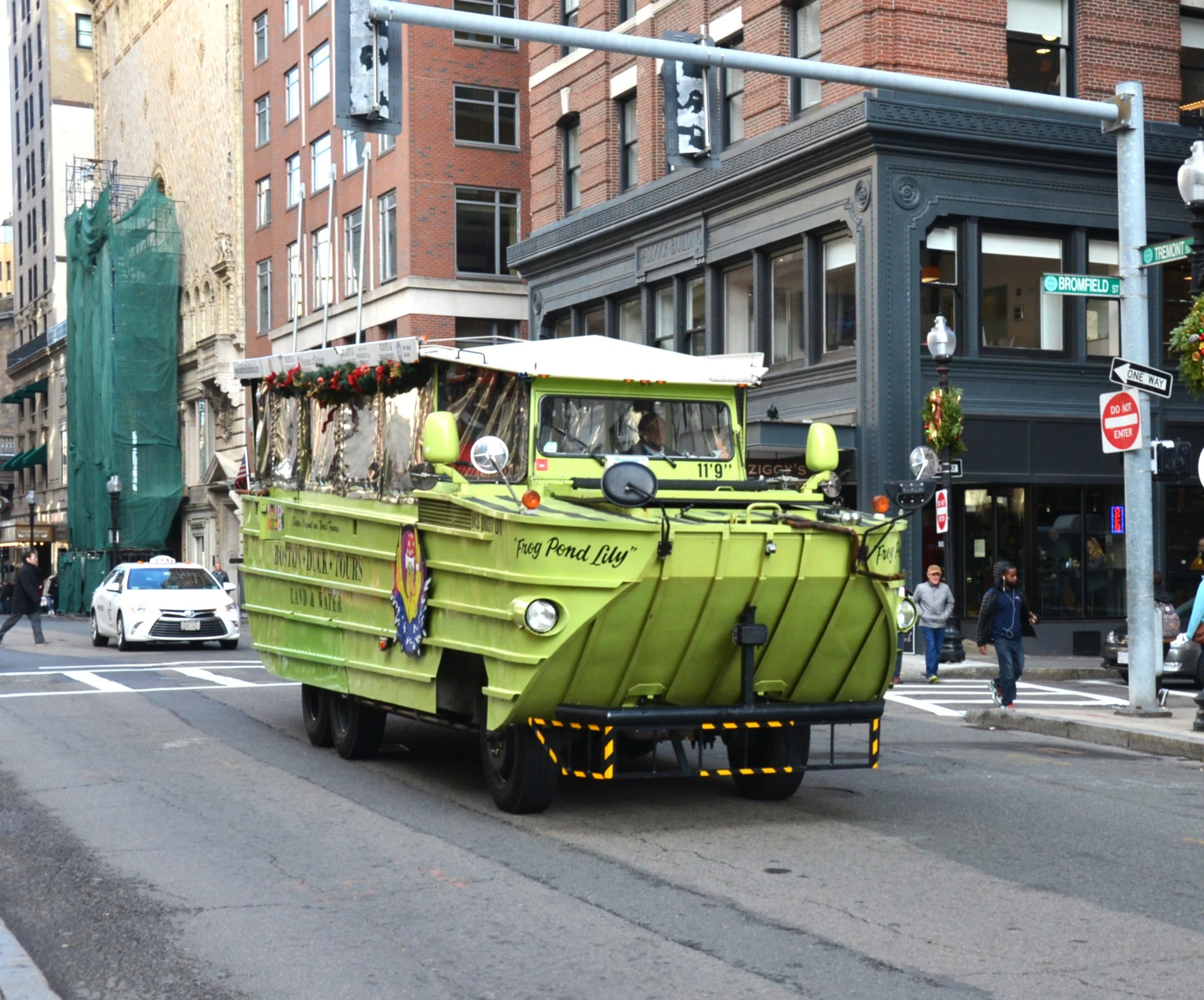 DSC_8695.JPG