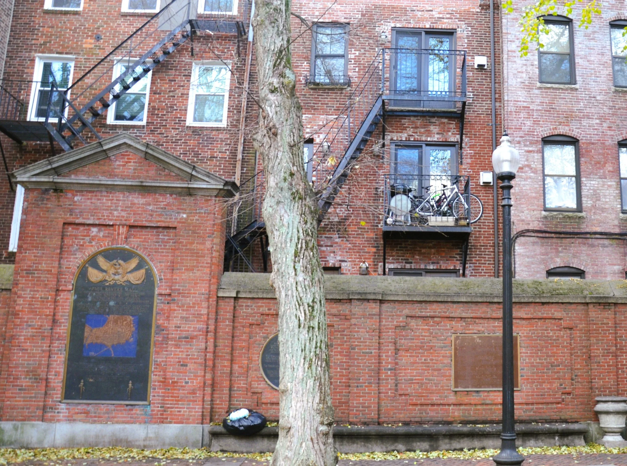 DSC_8727.JPG
