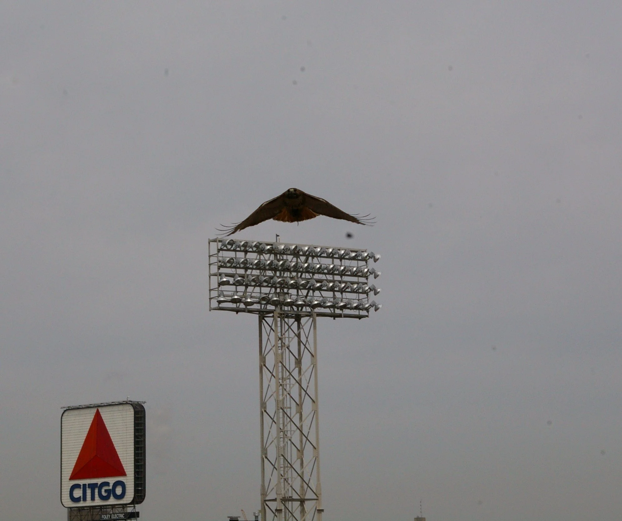 176.JPG