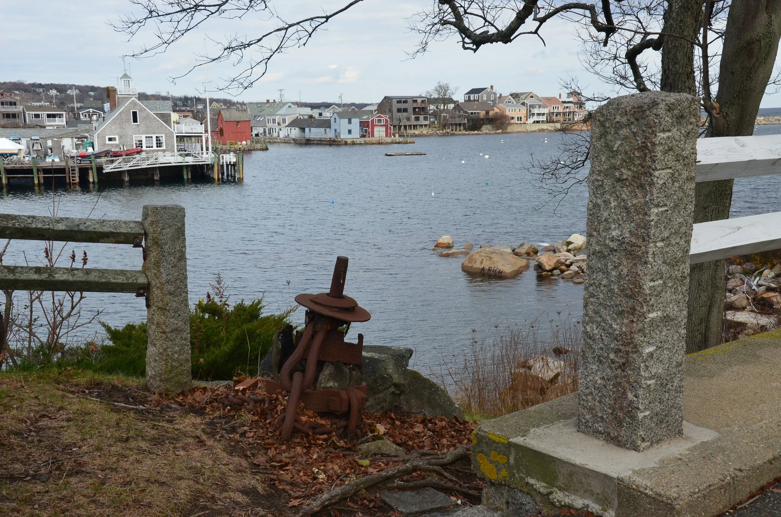 DSC_8954.JPG