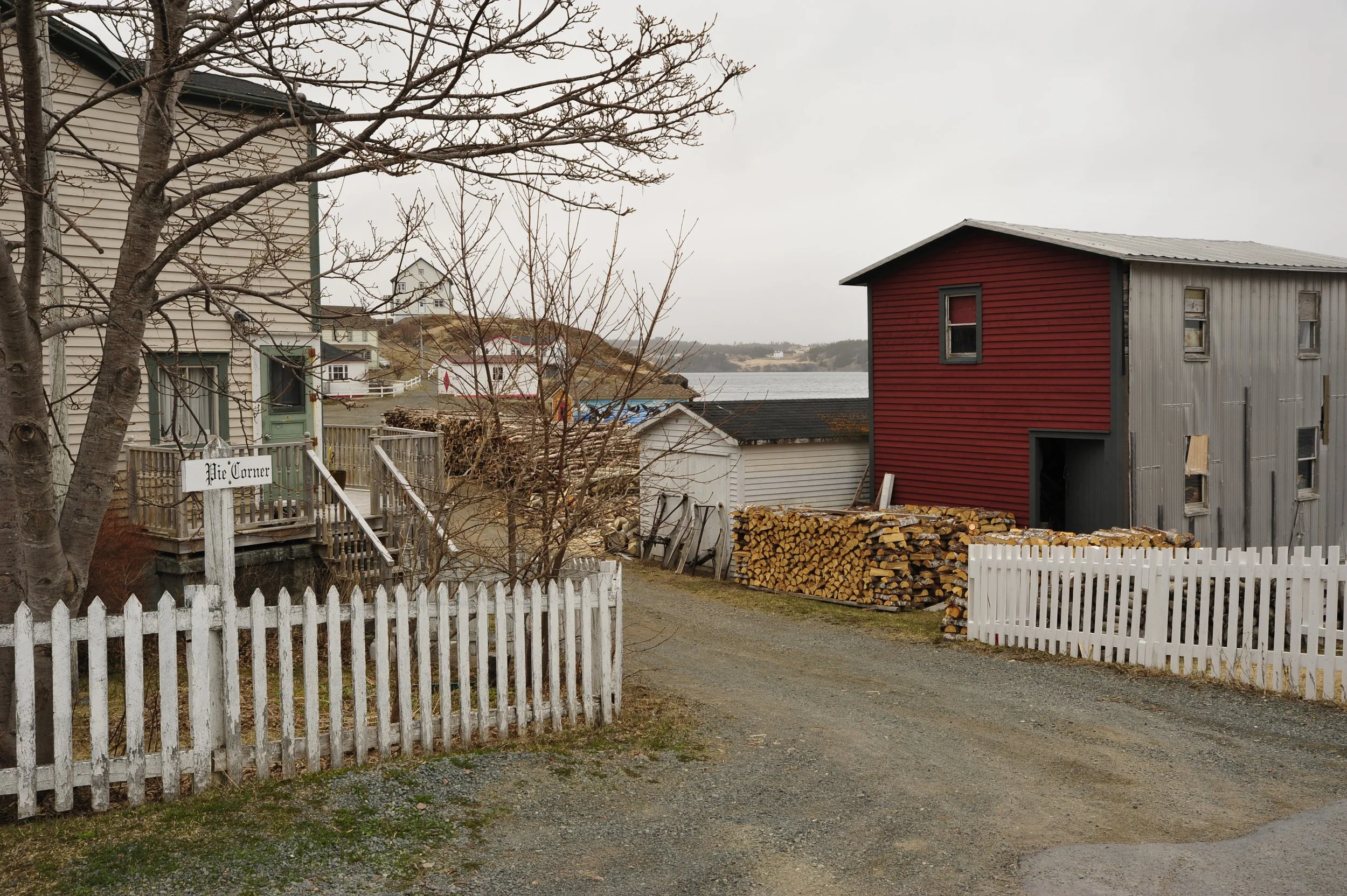 _DSC7598.JPG