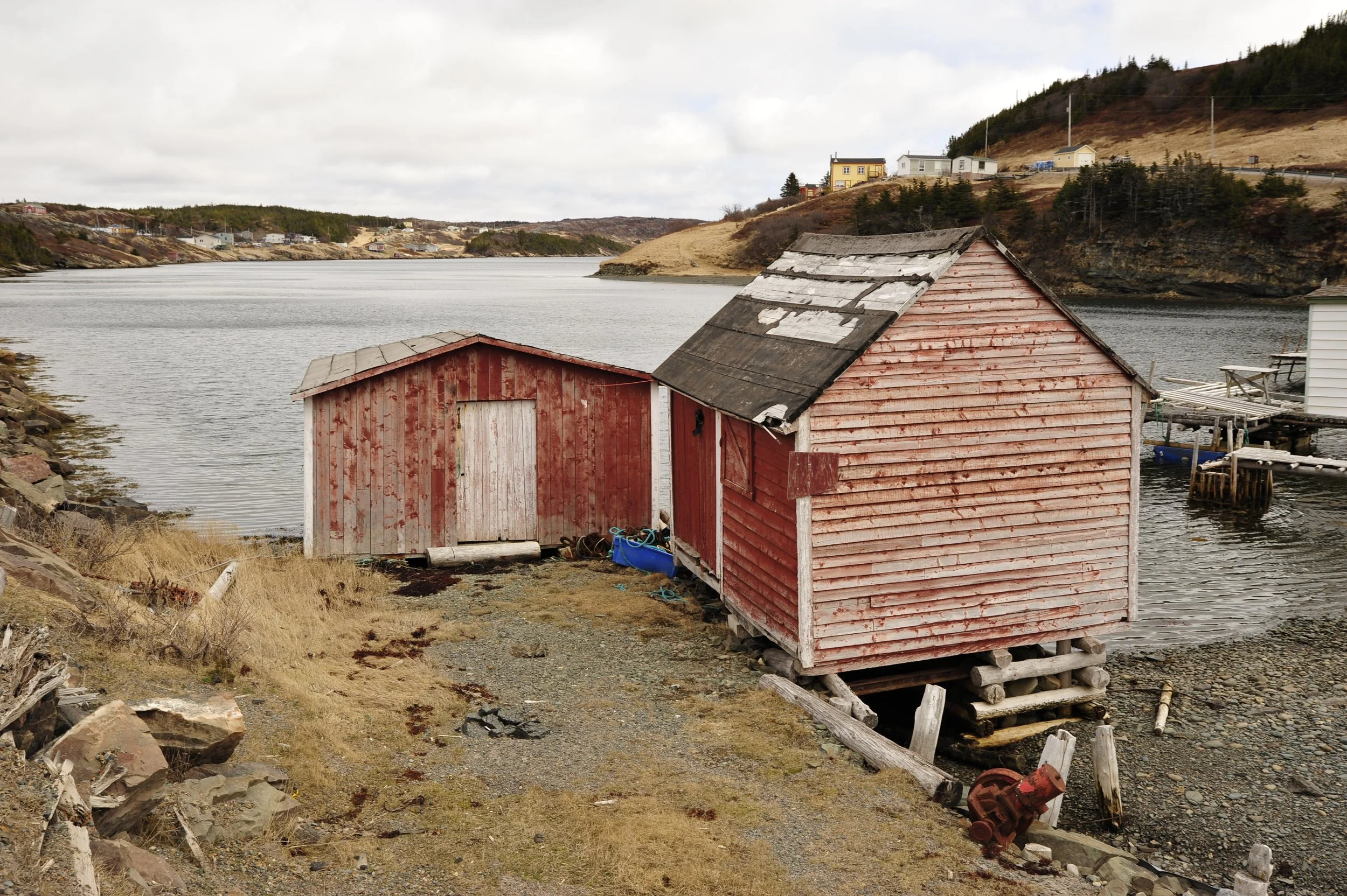 _DSC7752.JPG