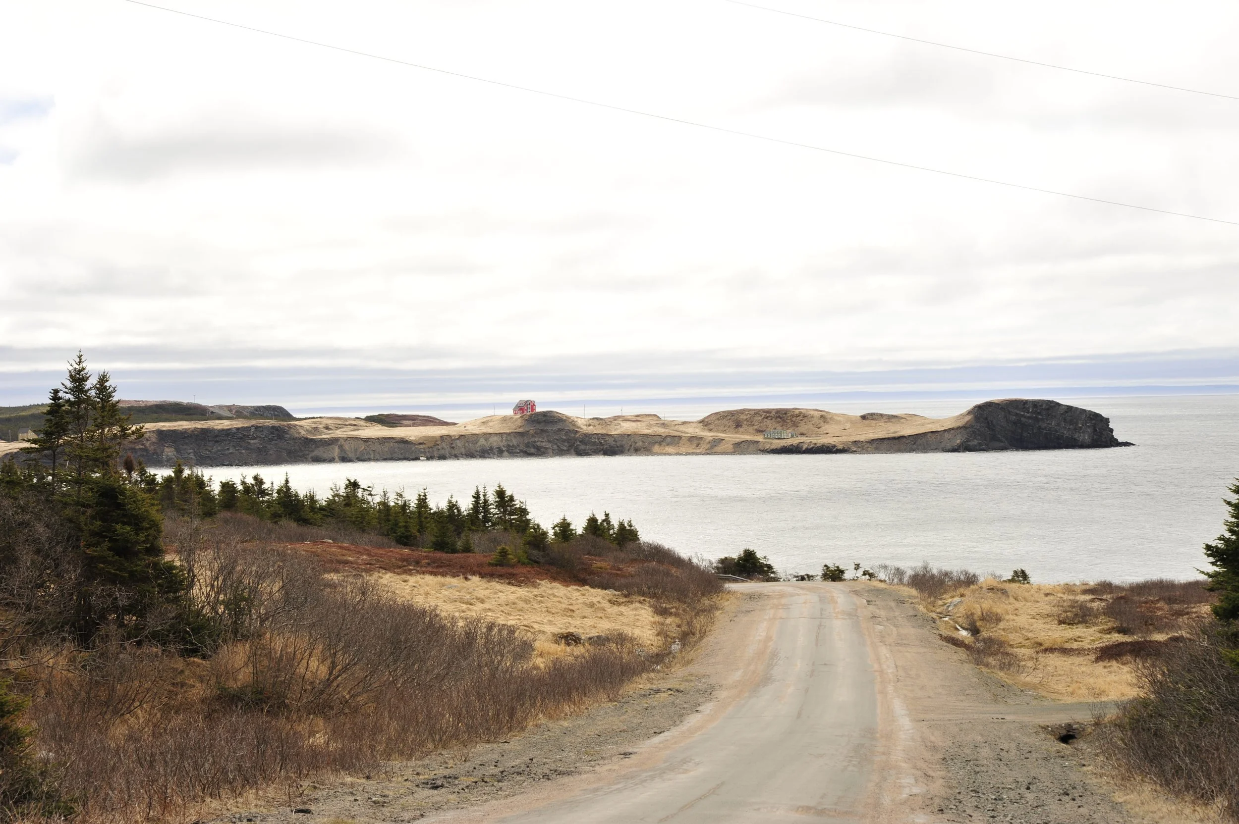 _DSC7674.JPG
