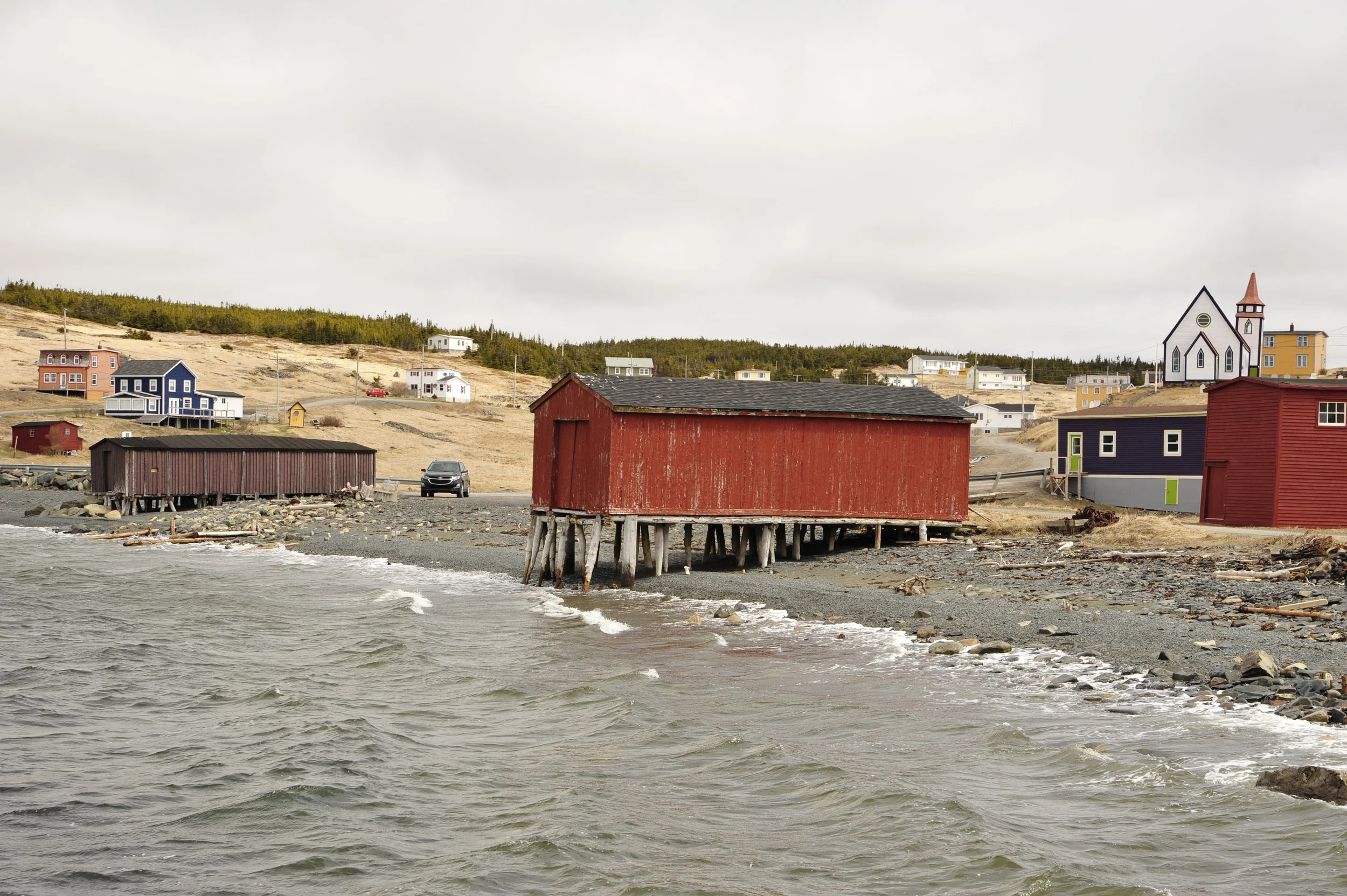 _DSC7685.JPG